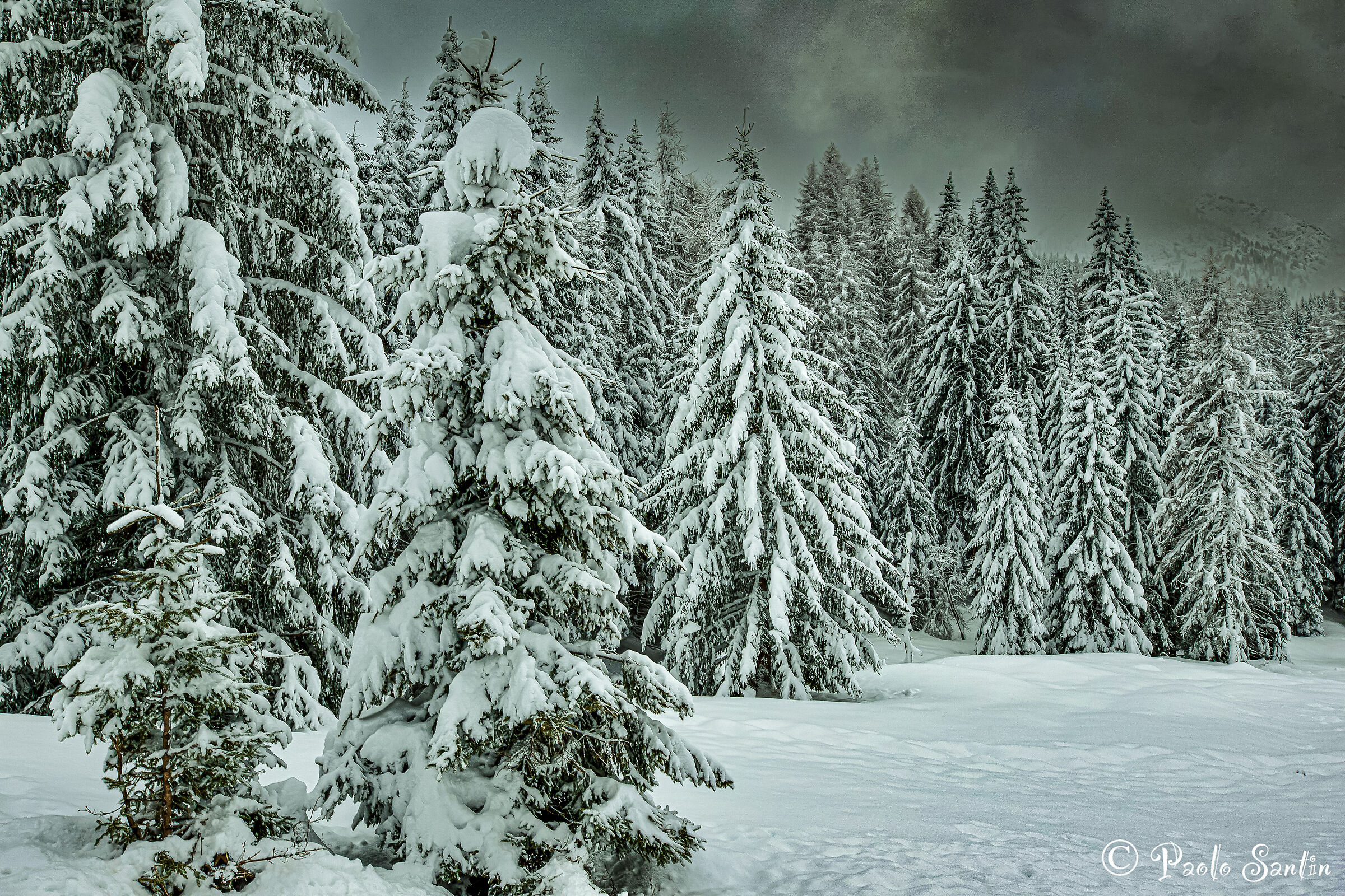 Una bella nevicata in Val di Zoldo
