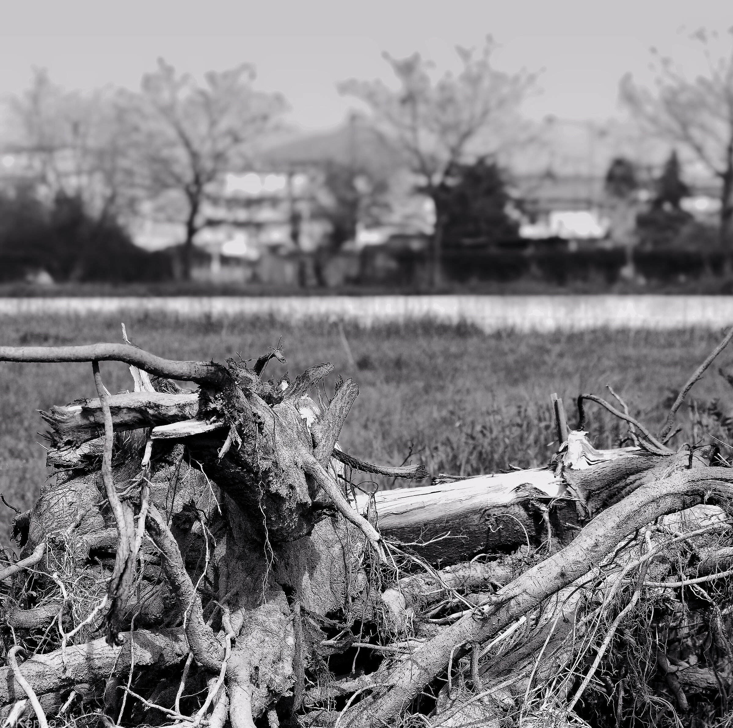 Death and the Boundary Line