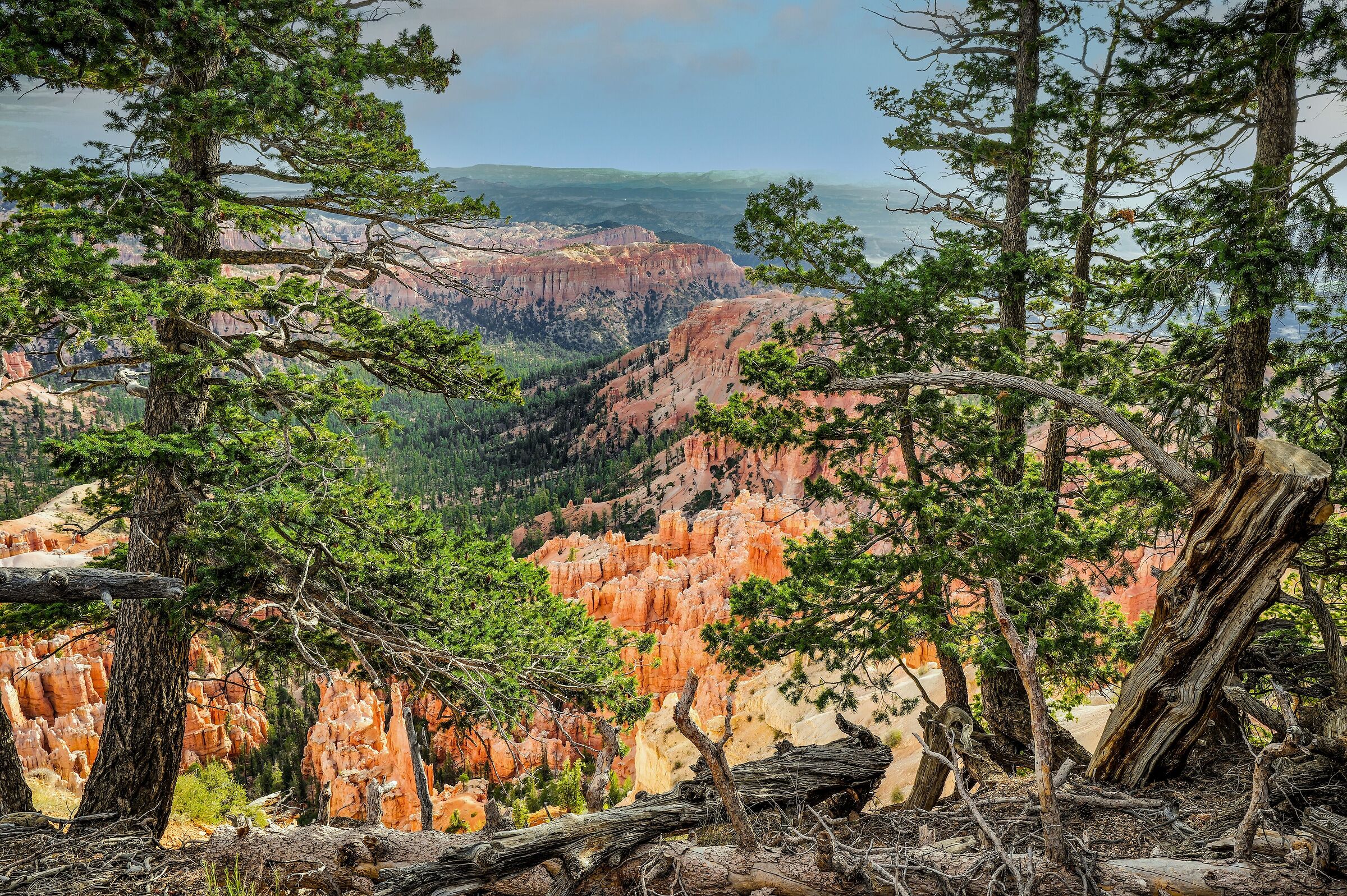 Bryce Canyon