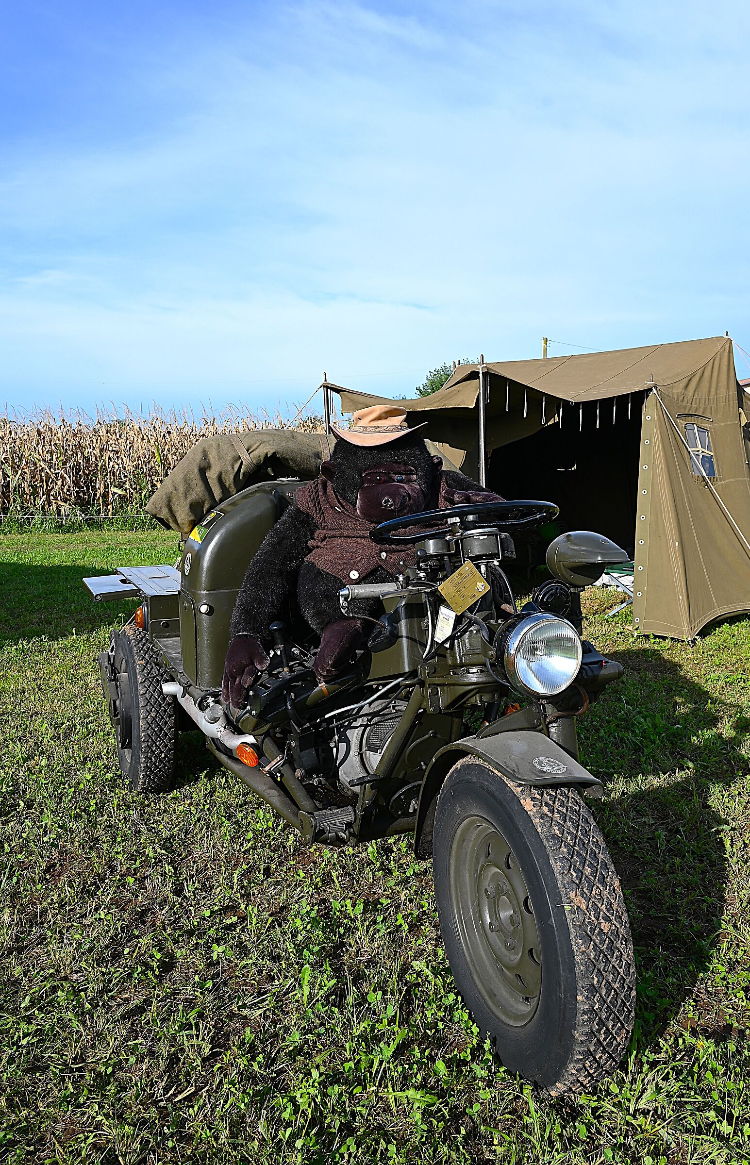 A mechanical mule for Captain Magu