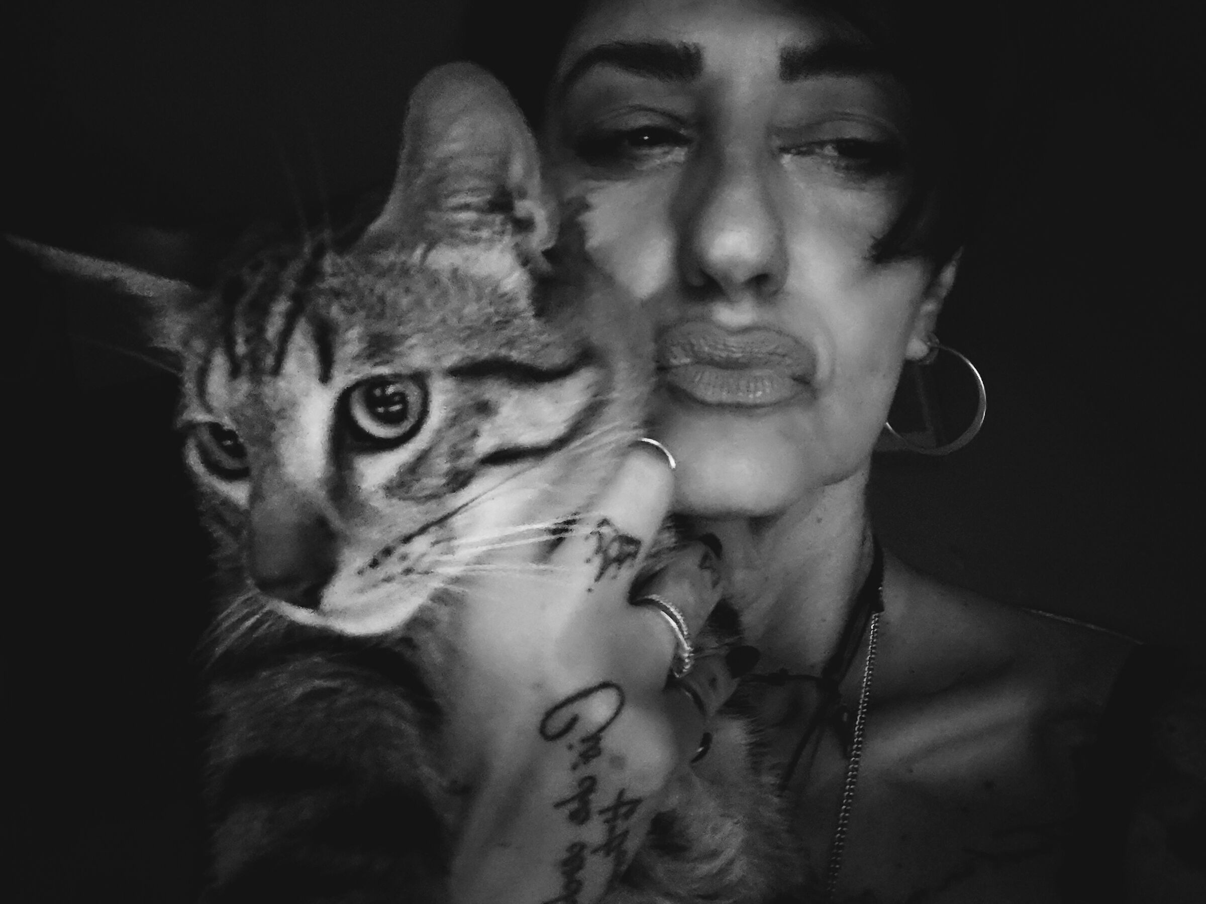 NightCatZ