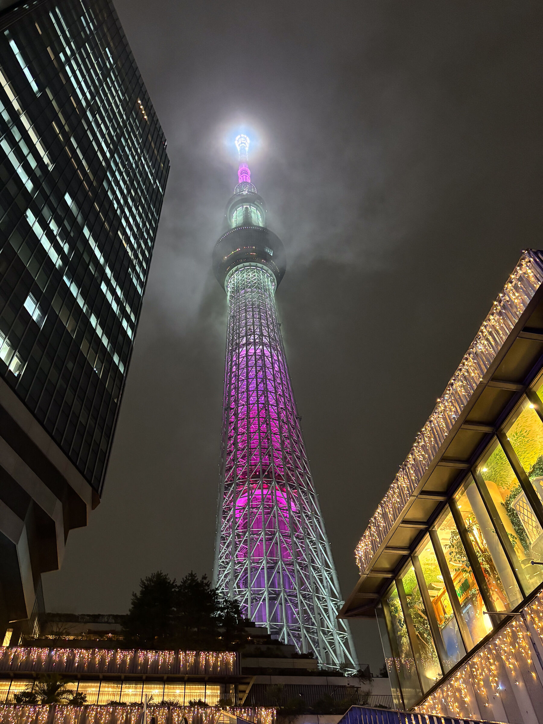 skytree