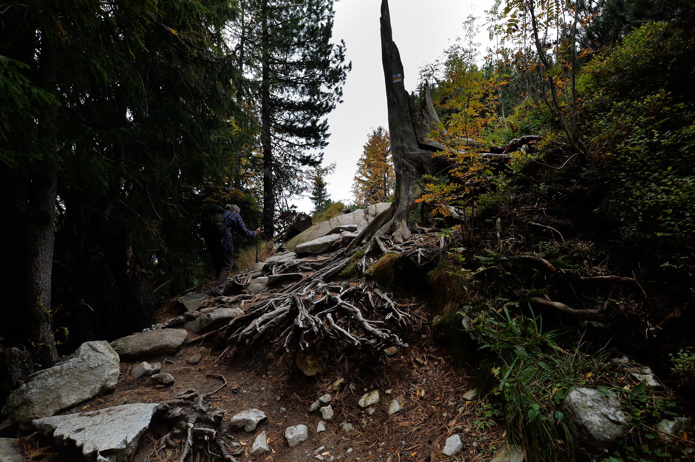 Alti Monti Tatra. Slovacchia (4)