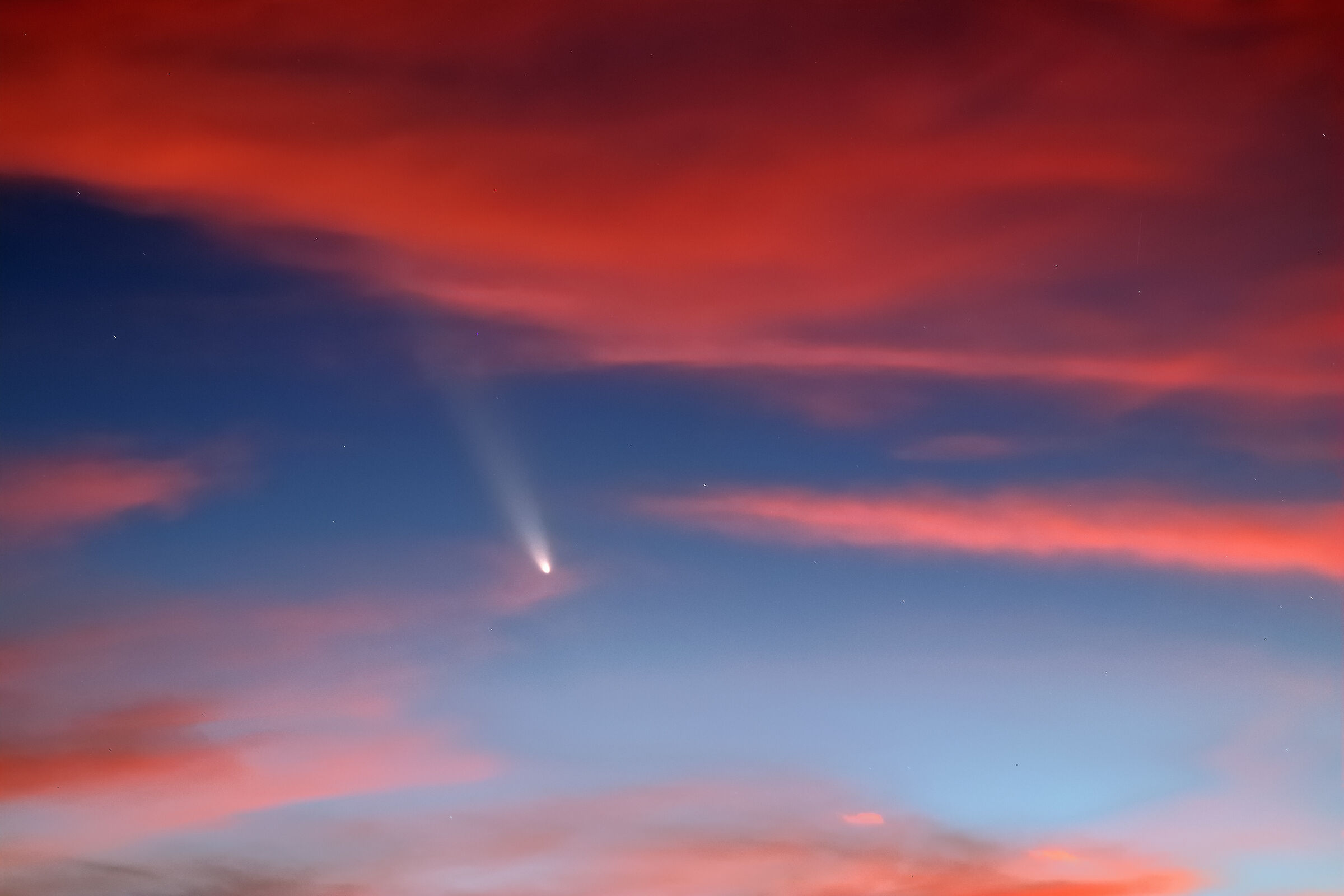 Cometa Tsuchinshan-ATLAS. al tramonto