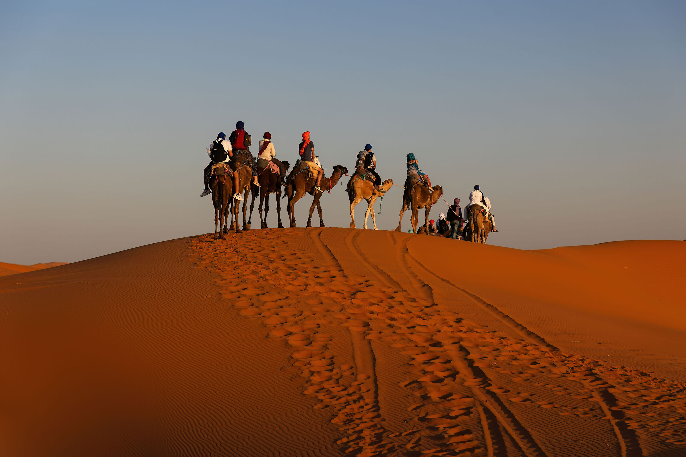 On the top of the dune