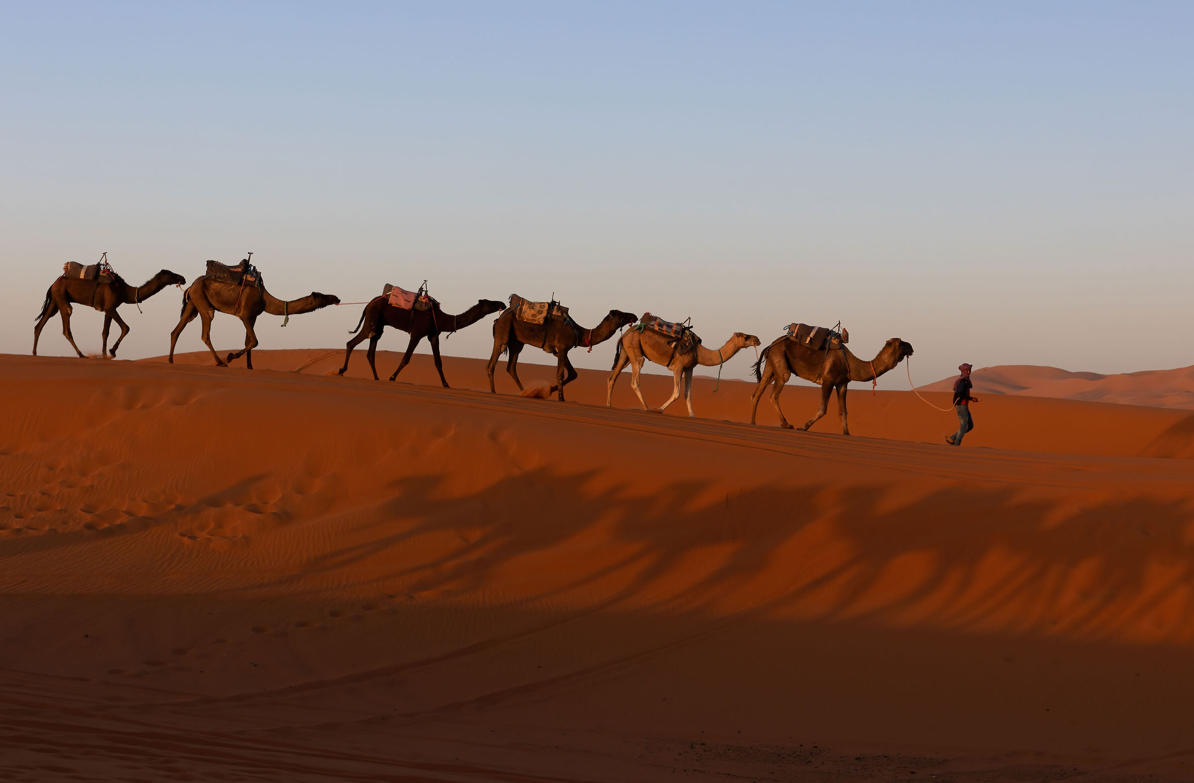 Desert ships at sunset