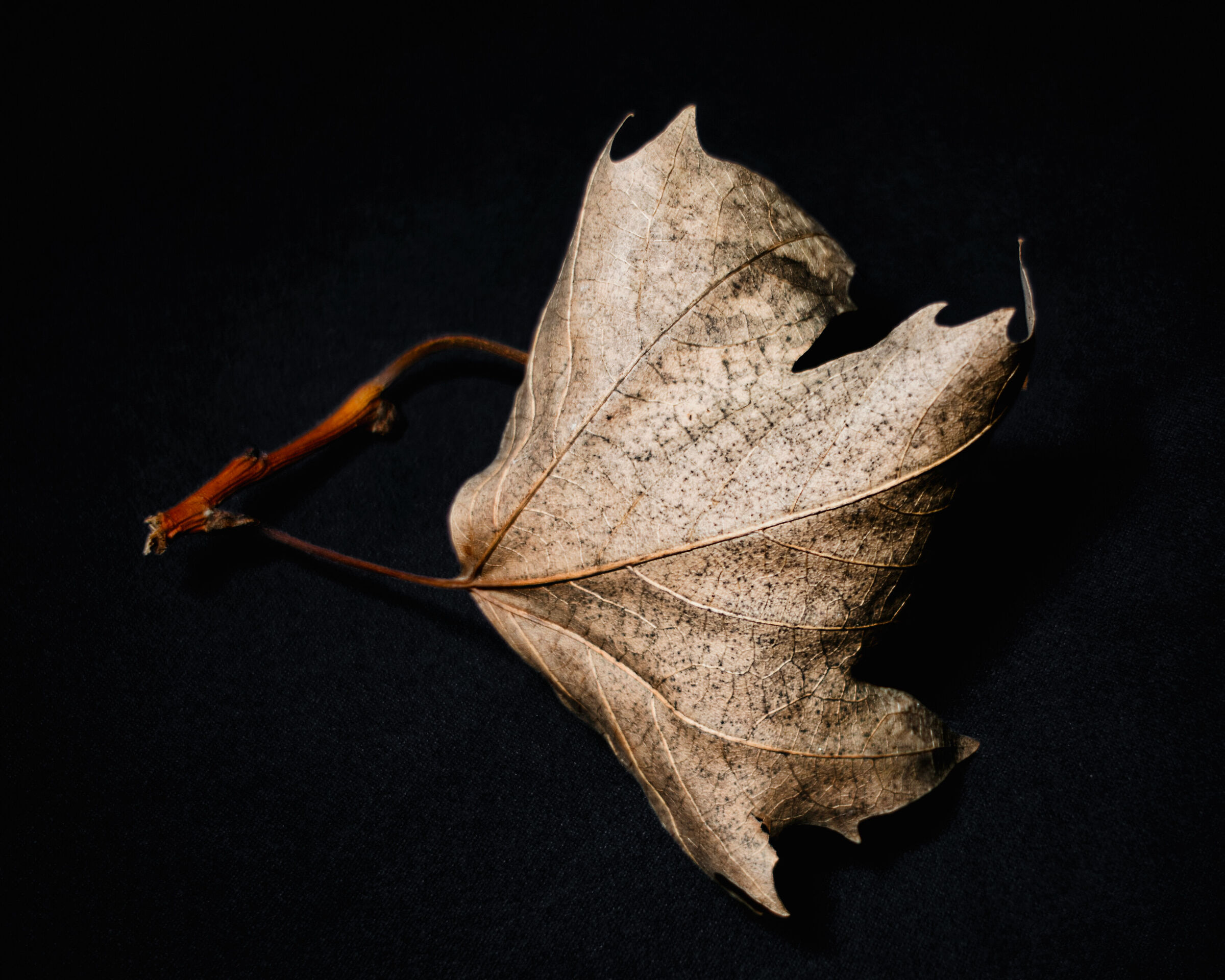 Autumn. Outside it continues to rain