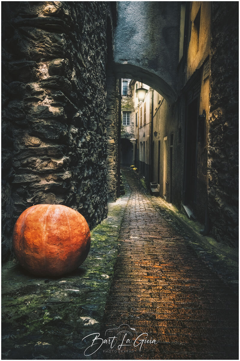 Alloween in the land of witches