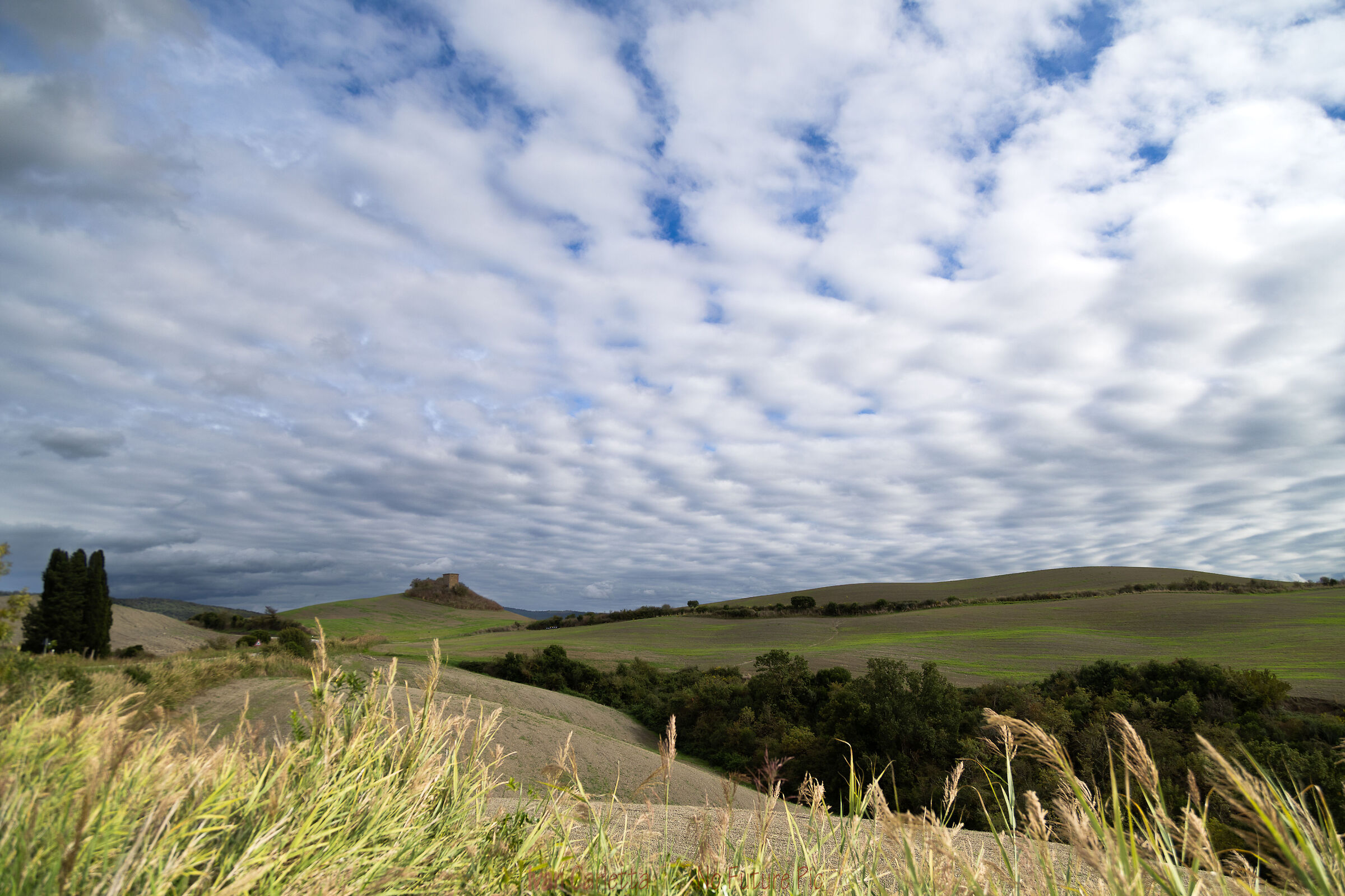 Tuscan landscape