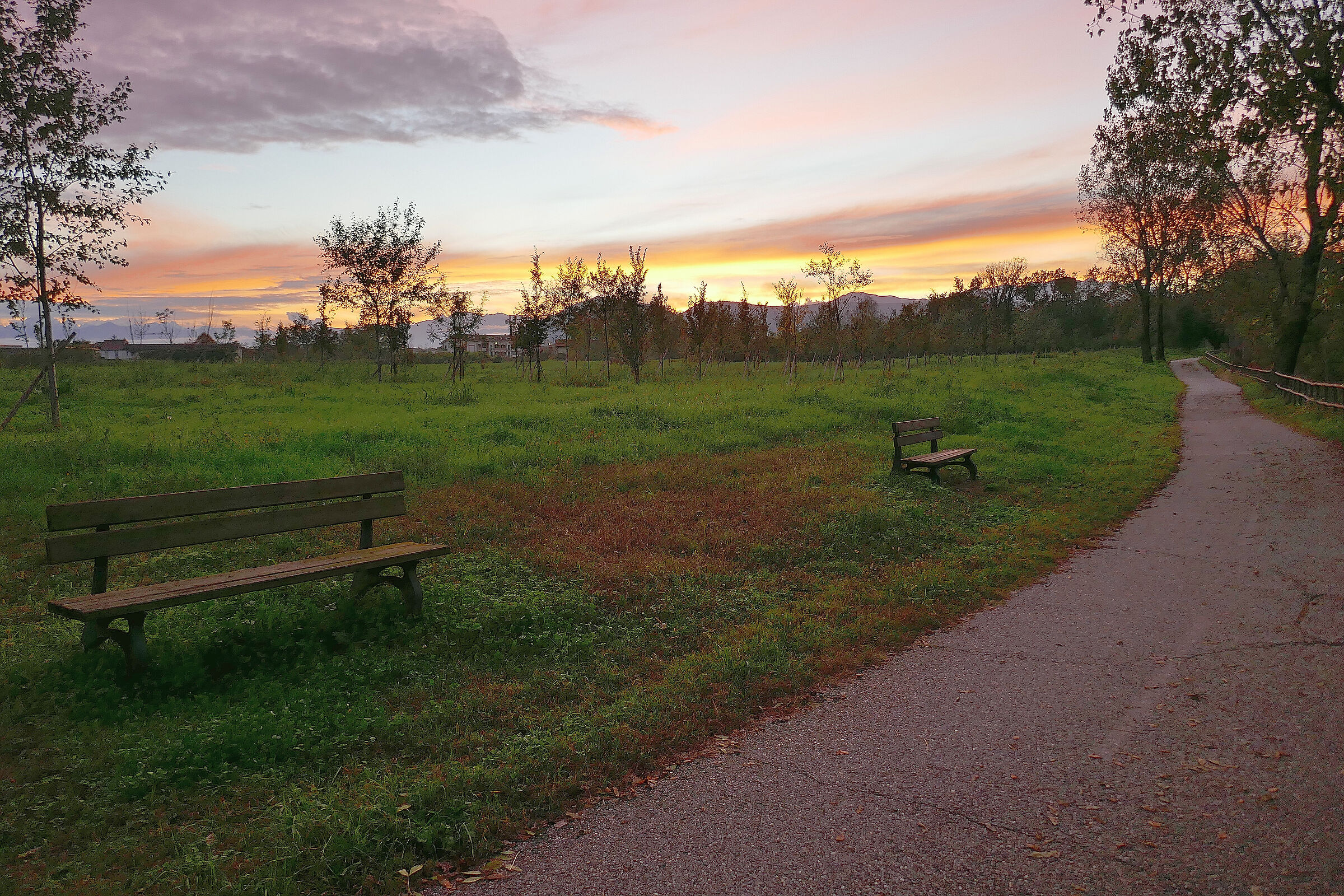 Last Moments at the Park...
