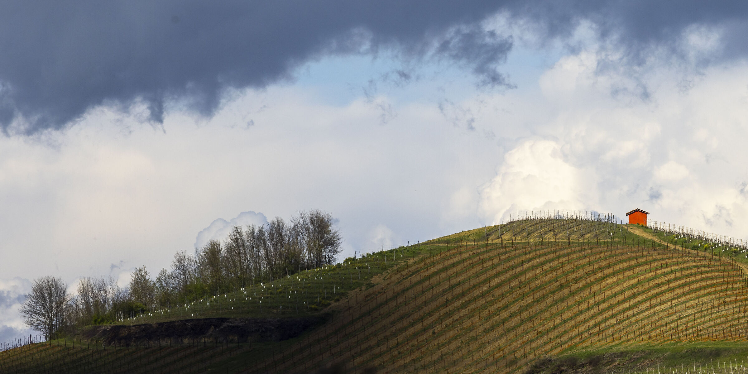 La bellezza delle Langhe