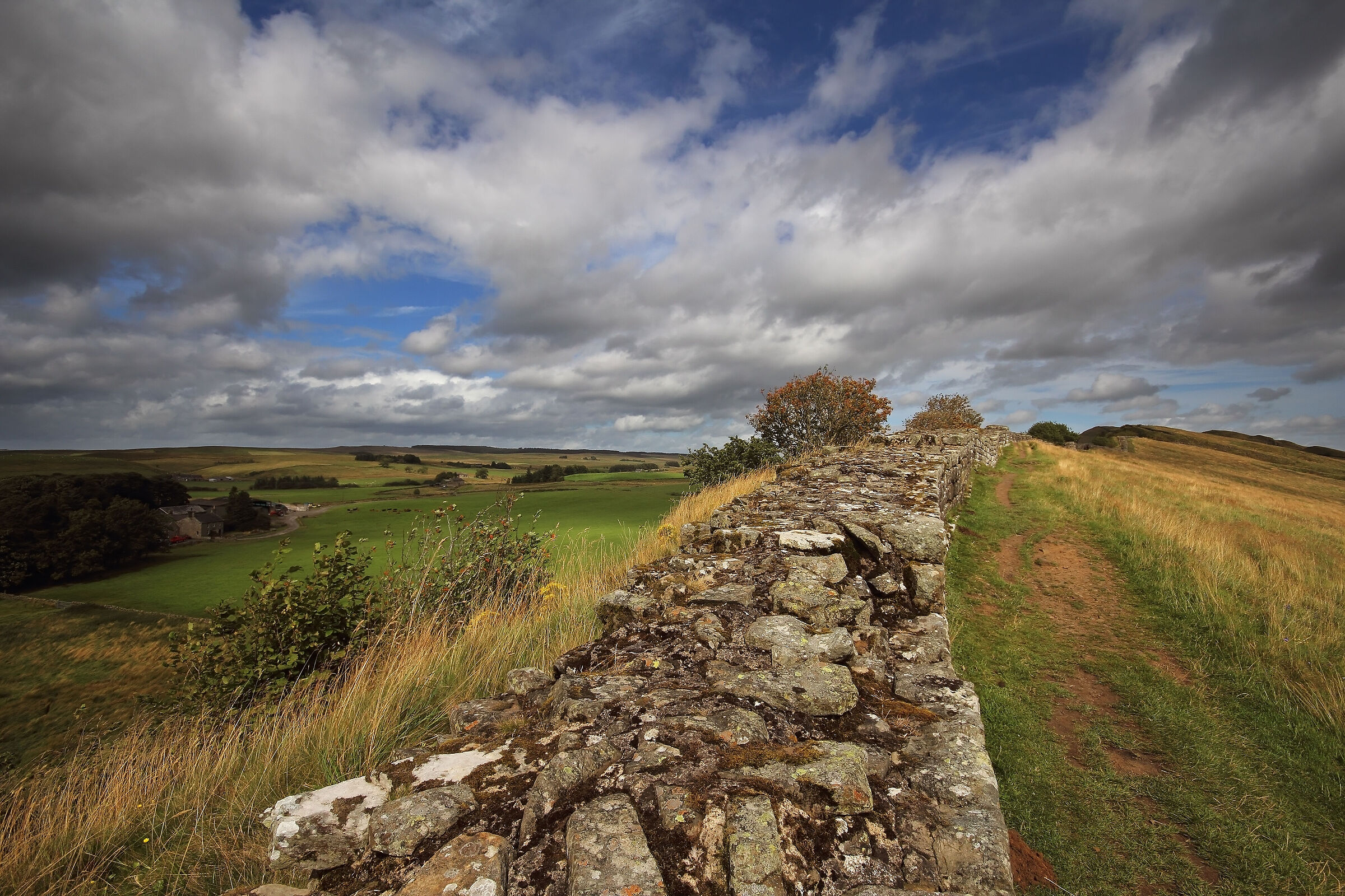 E voi da quale parte state?