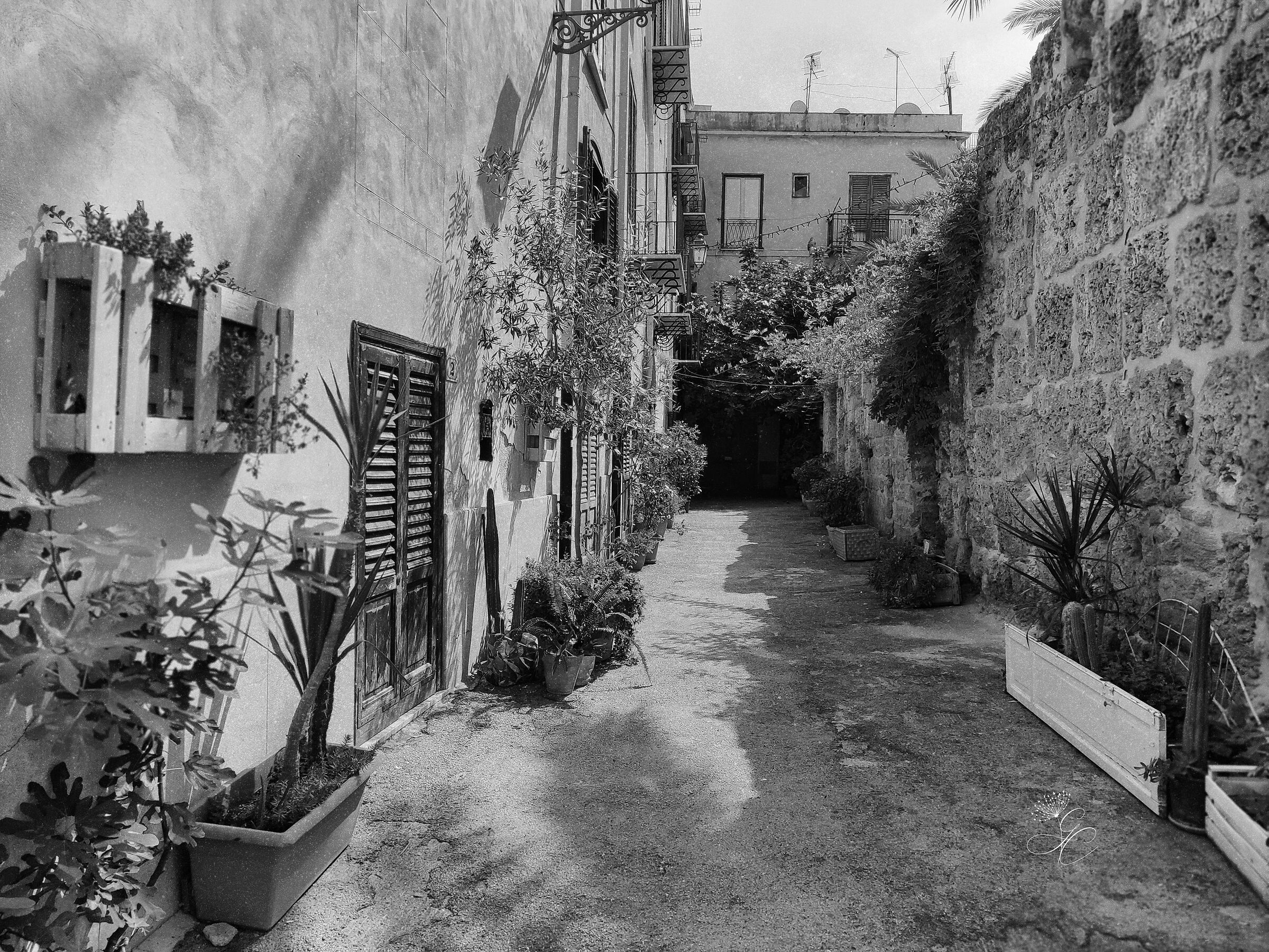 Vicoli di Palermo (2021)