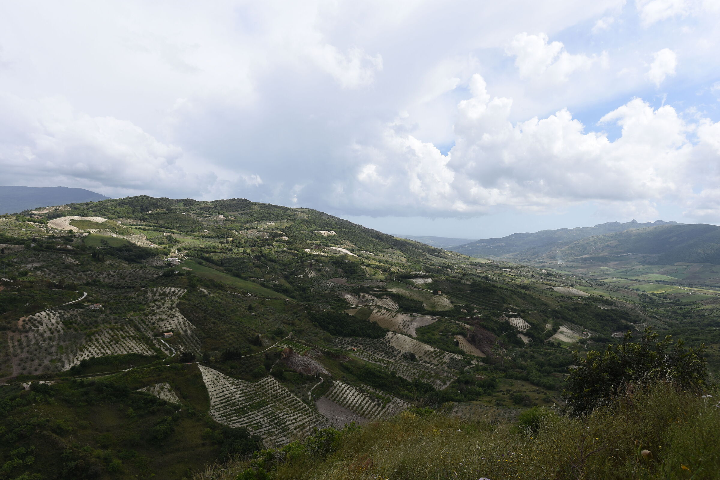 @" F. 5.6, 1/ Mille " Nikon 28, 1.4 E ED, D 750