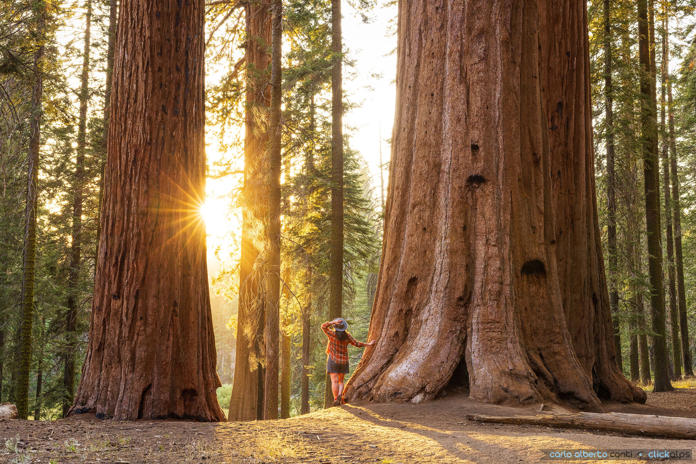 Sequoia National Park