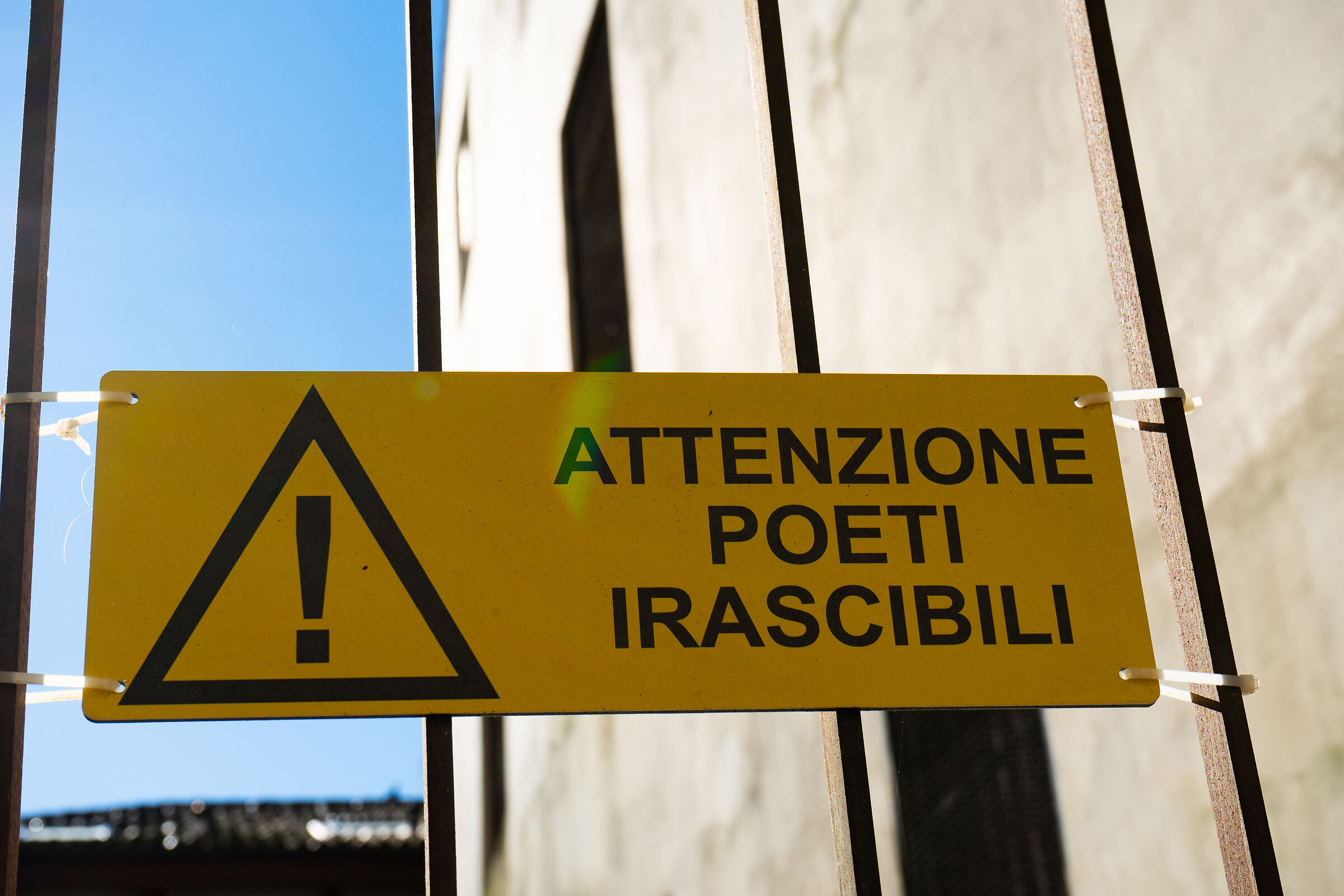 Poeti irascibili