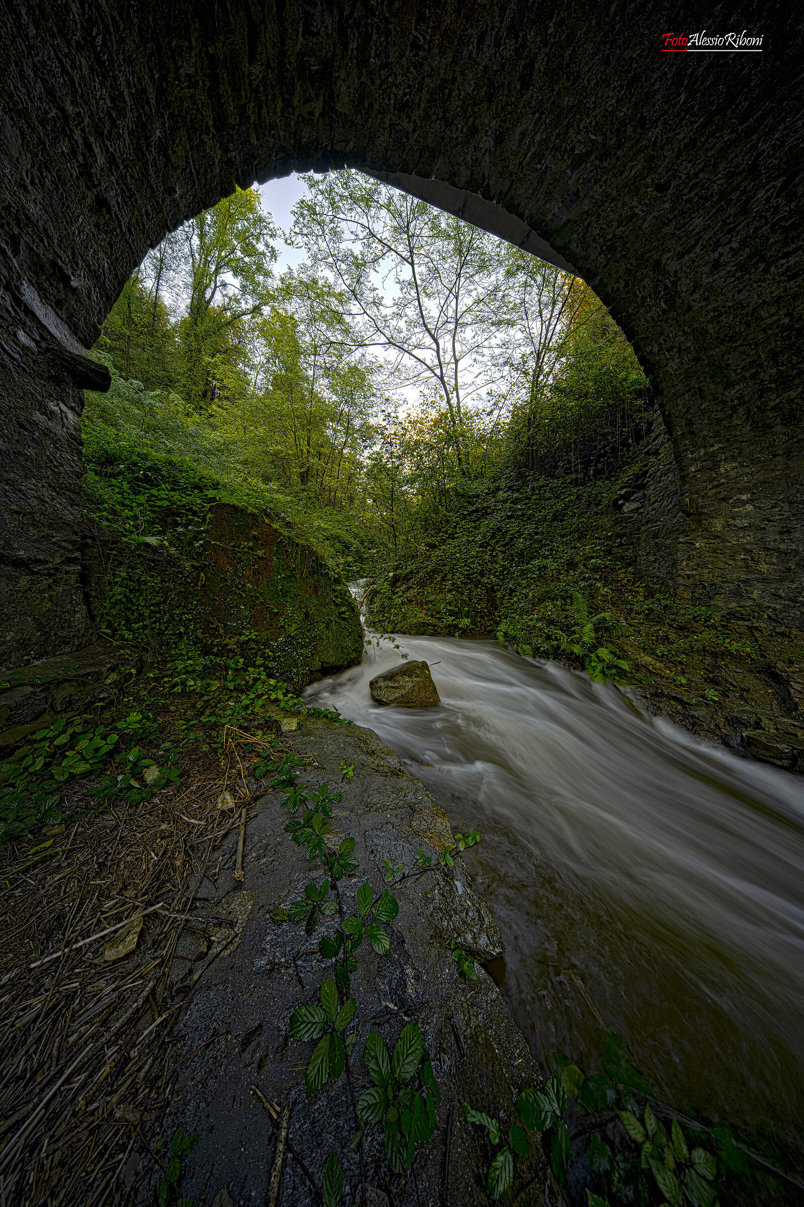 Under the bridge a treasure