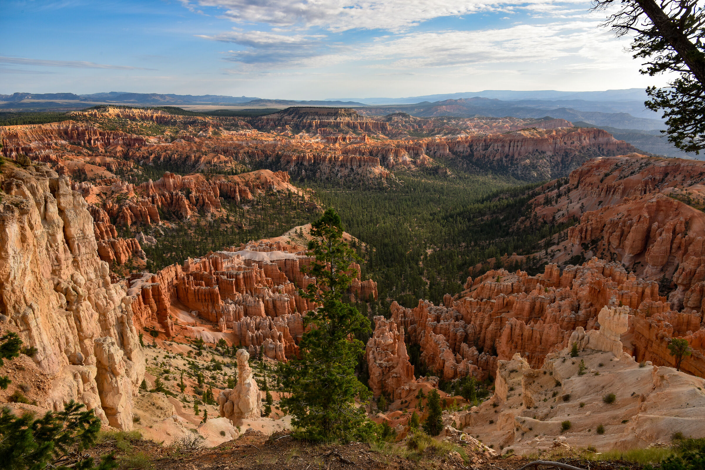 Bryce Canyon