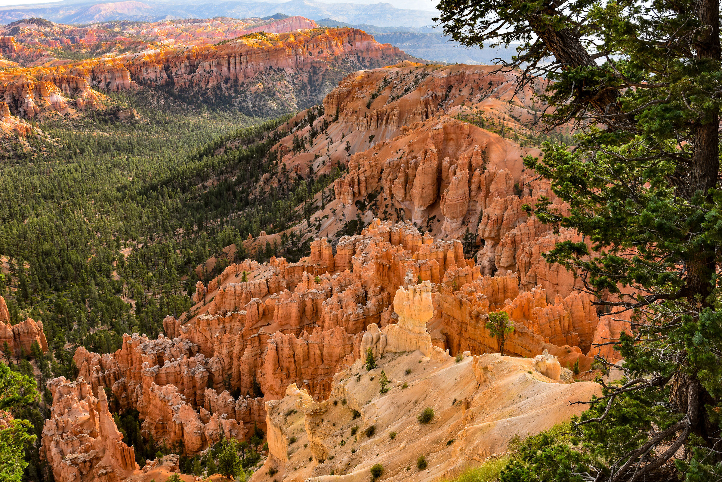 Bryce Canyon