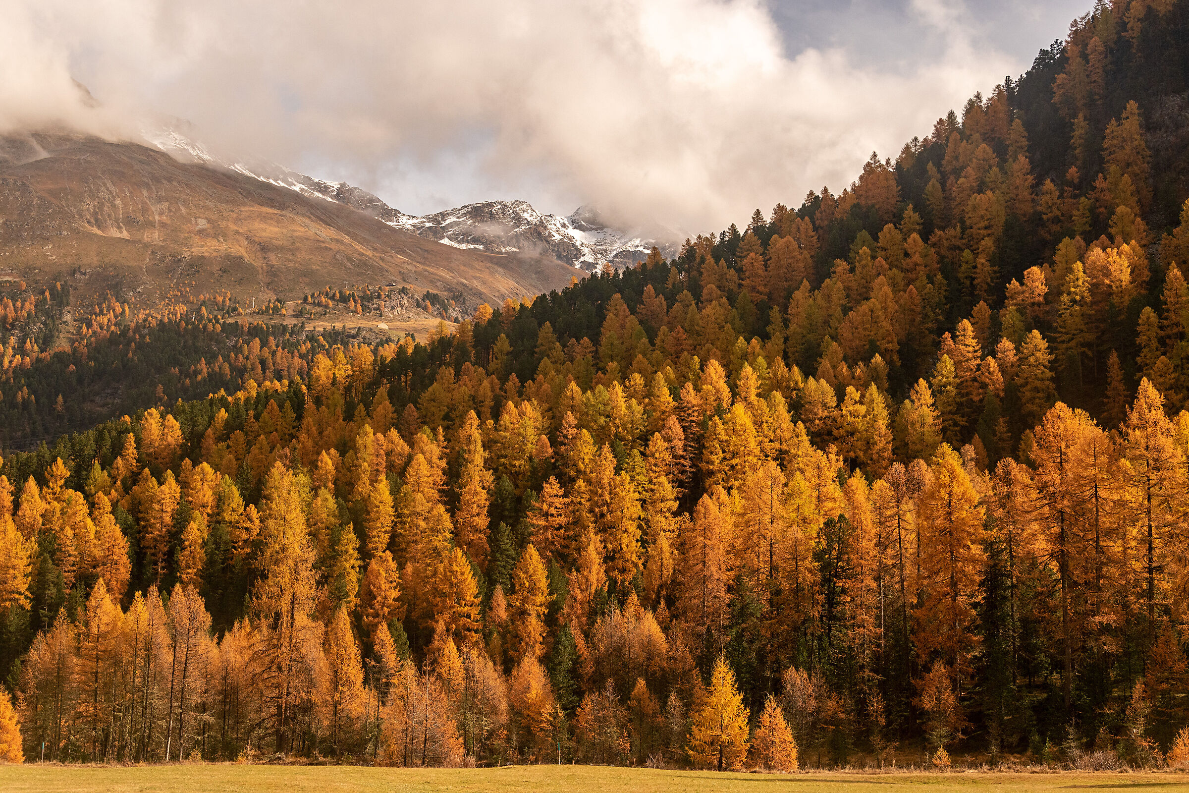 i colori della Val Roseg