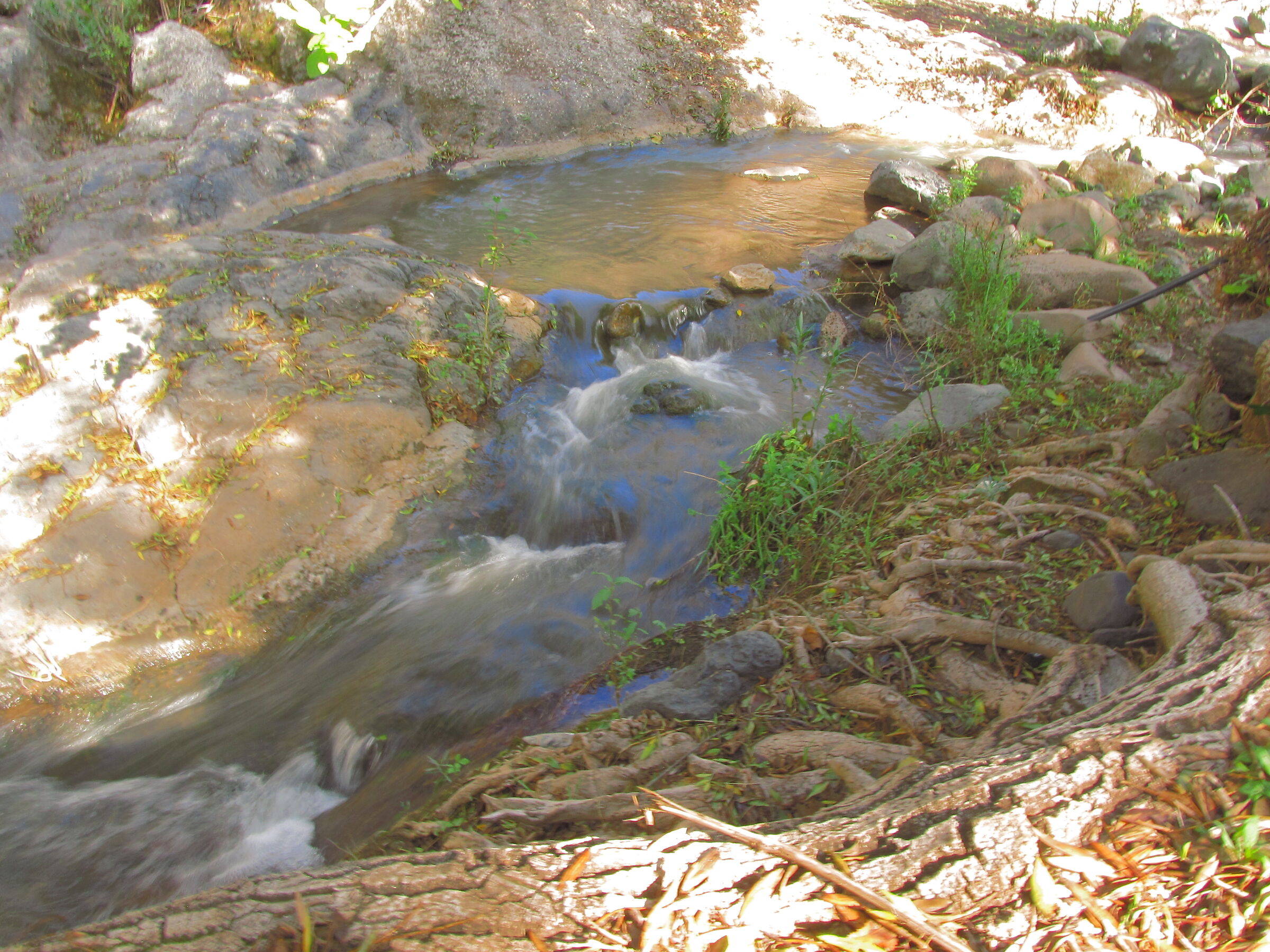 Brook