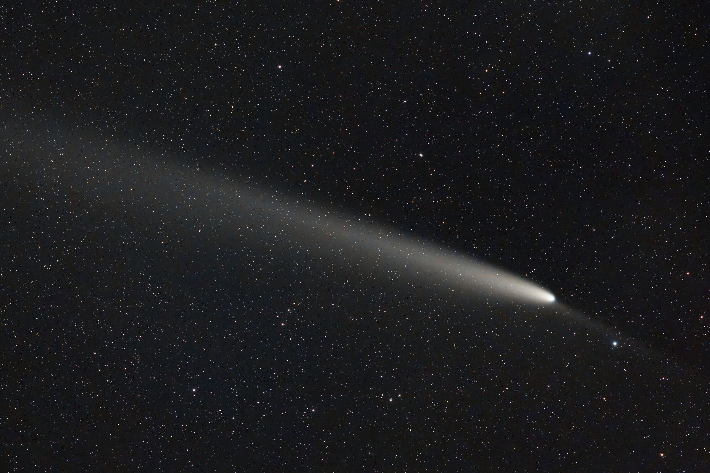 La cometa del secolo (ma anche no)