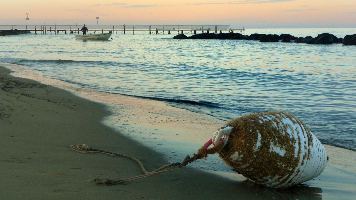 buoy beached