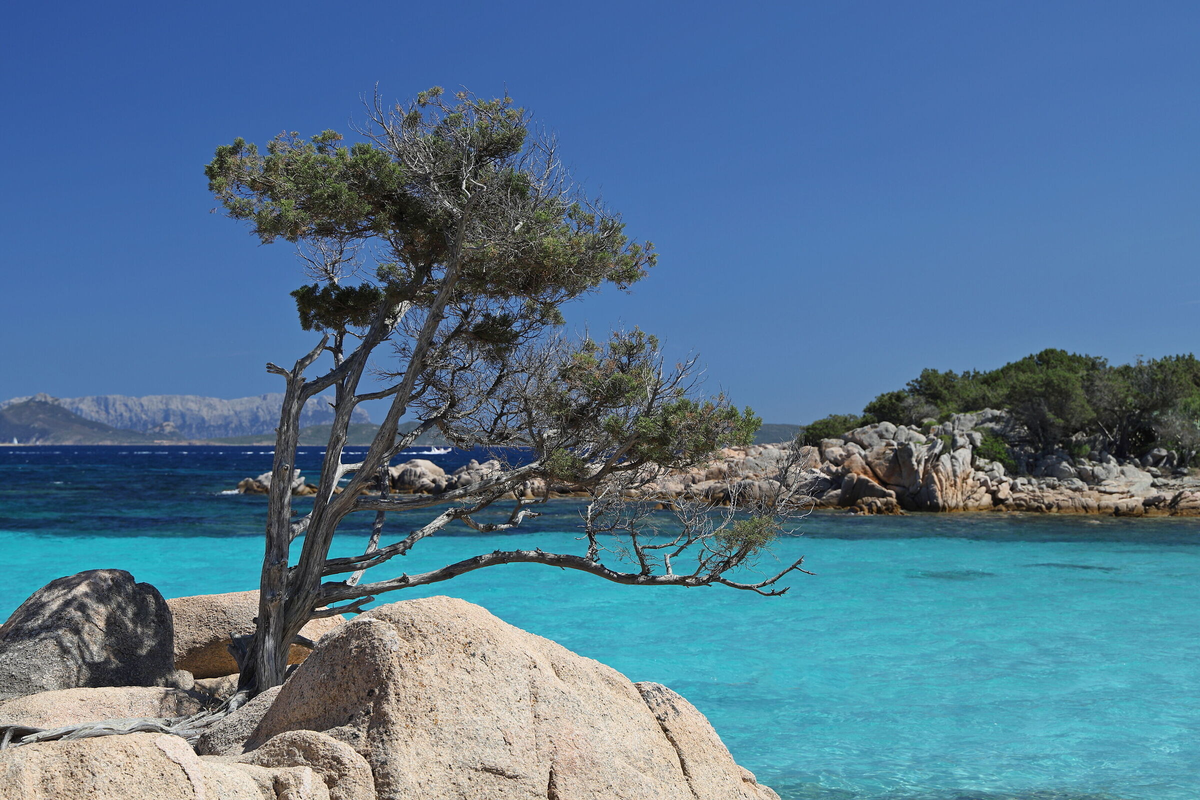 Spiaggia di Capriccioli, Sardegna