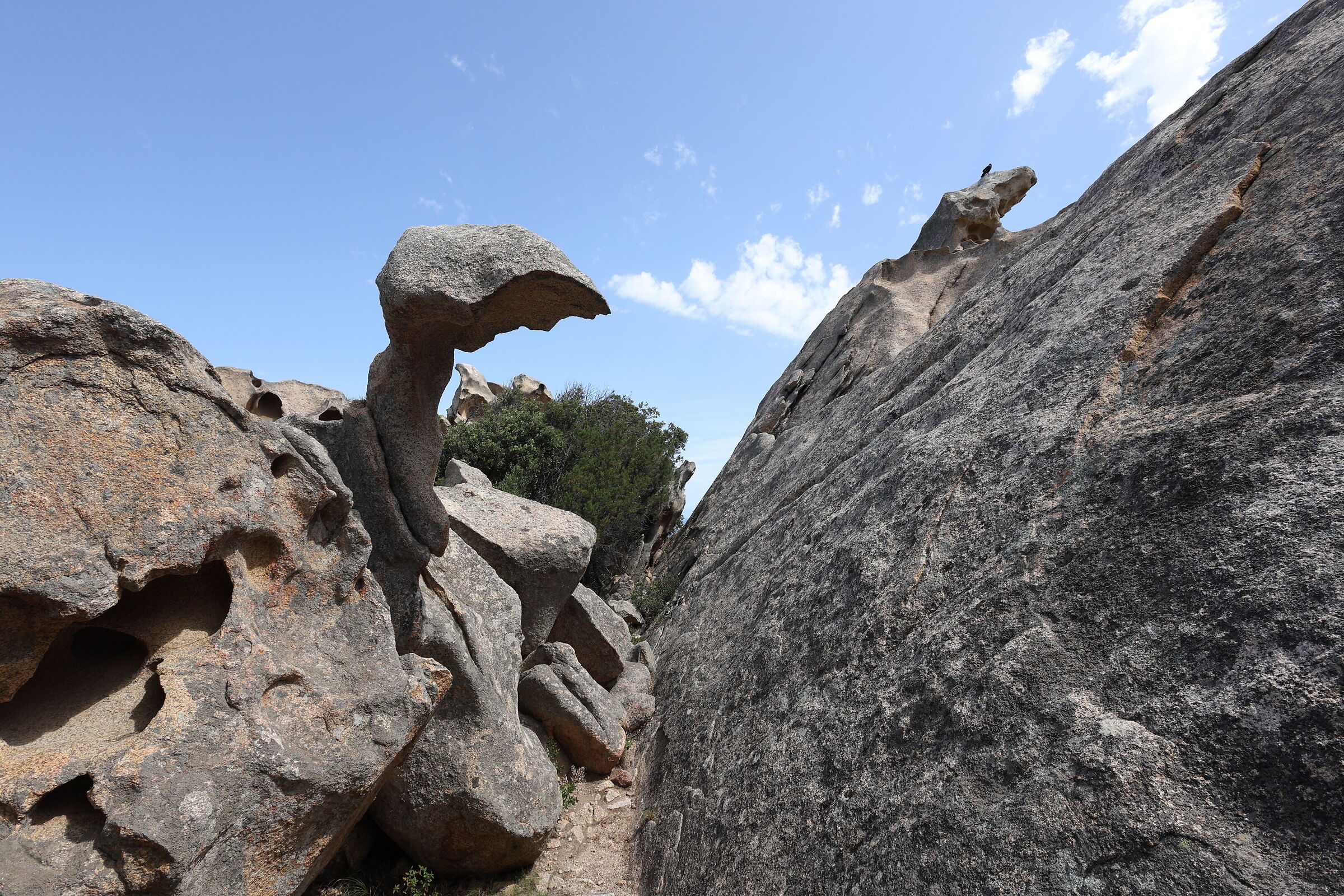 The claws of nature, Roccia dell'Orso, Sardegna