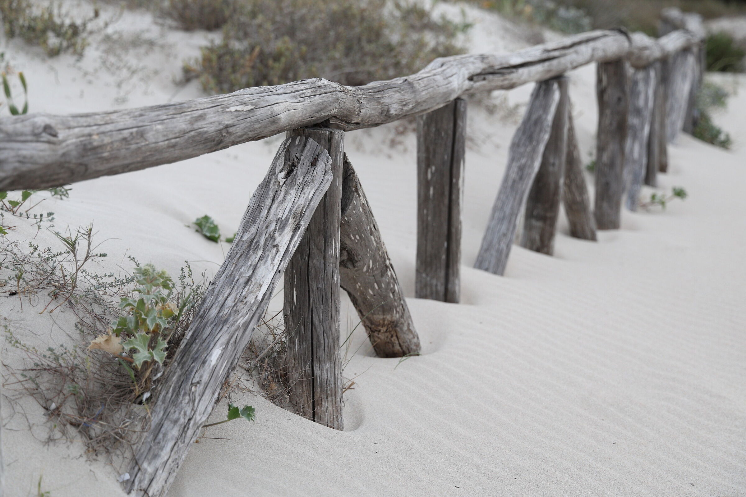 Spiaggia di Porto Istana, Sardegna
