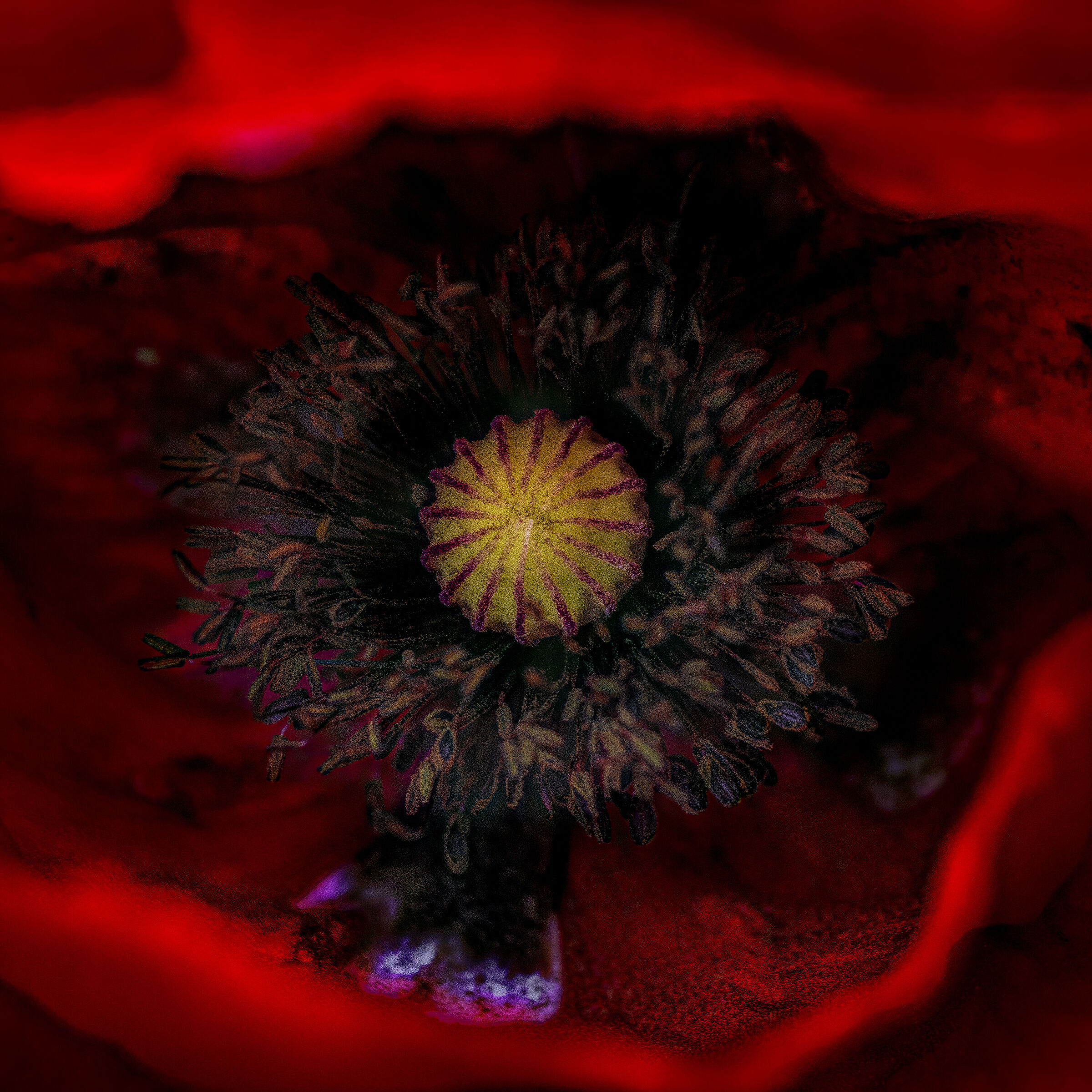 eye of my desires said the witch in the mirror