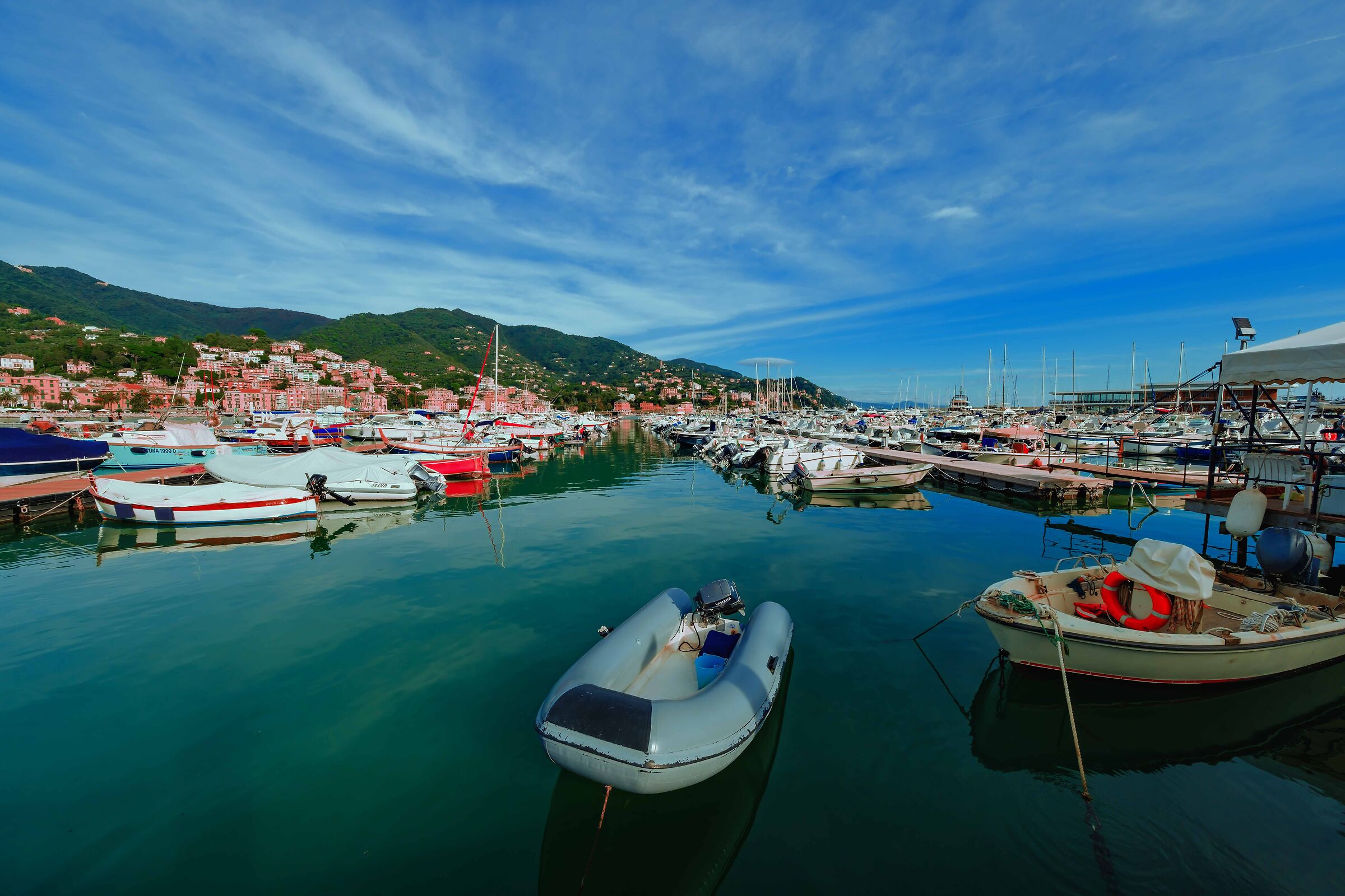 Il brutto anatroccolo