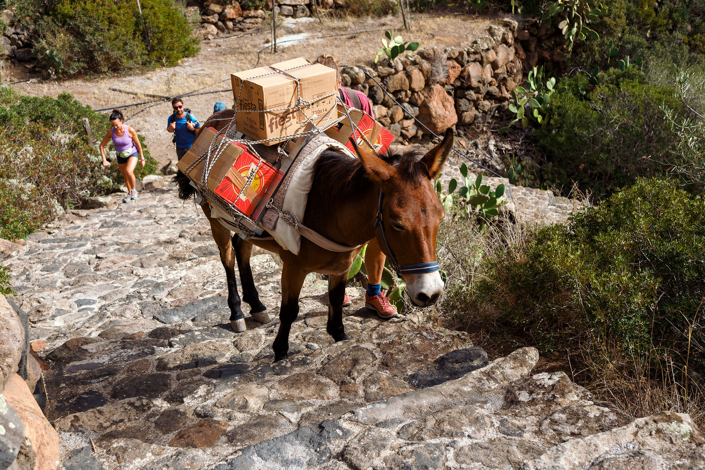 Aspettativa di vita ai fini pensionistici...