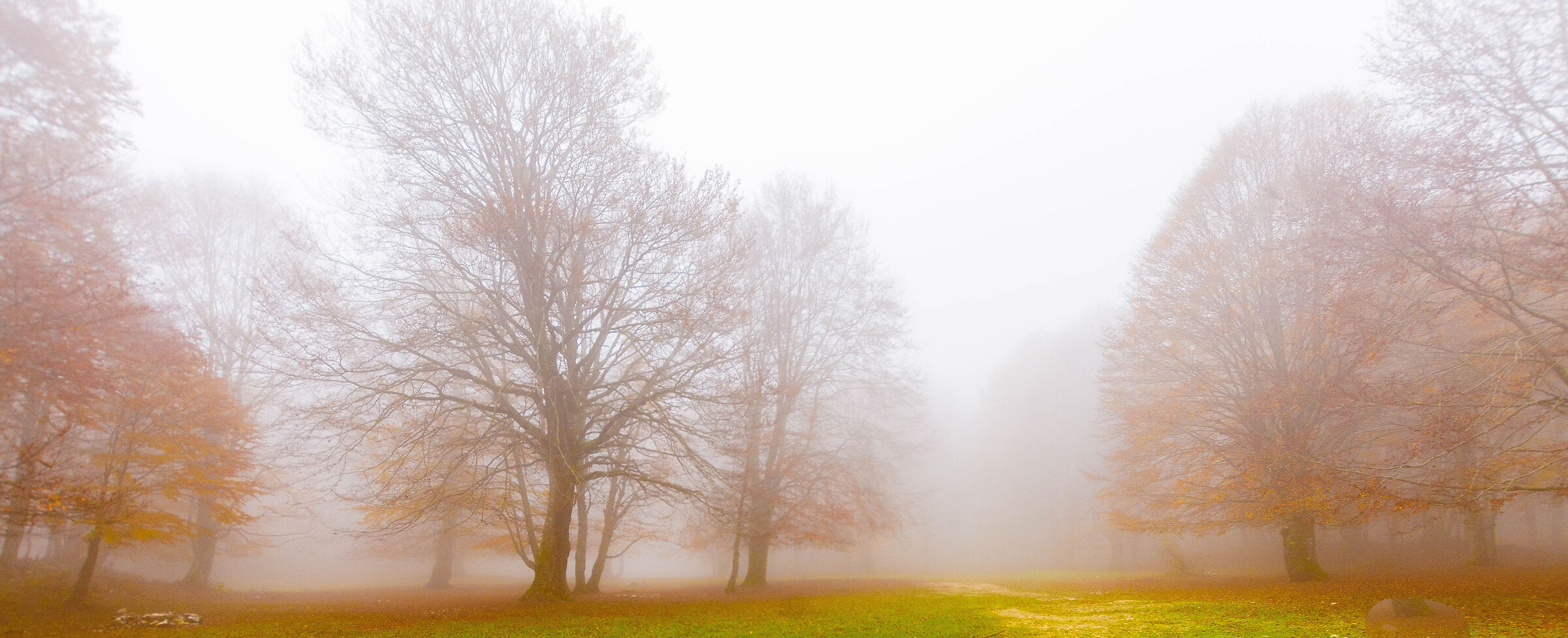 La nebbia nel Parco Regionale dei Monti Simbruini