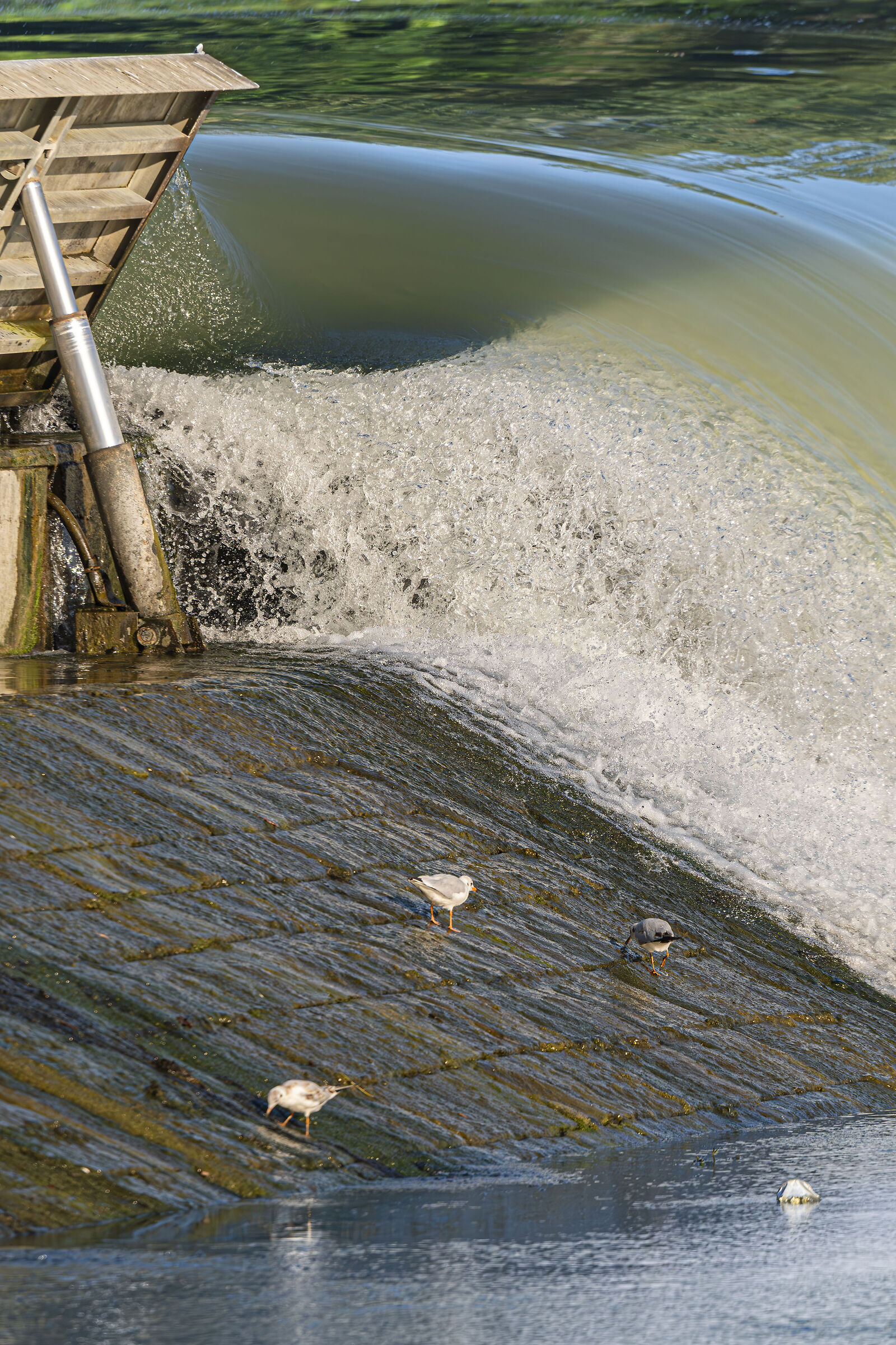 Breakfast under the dam