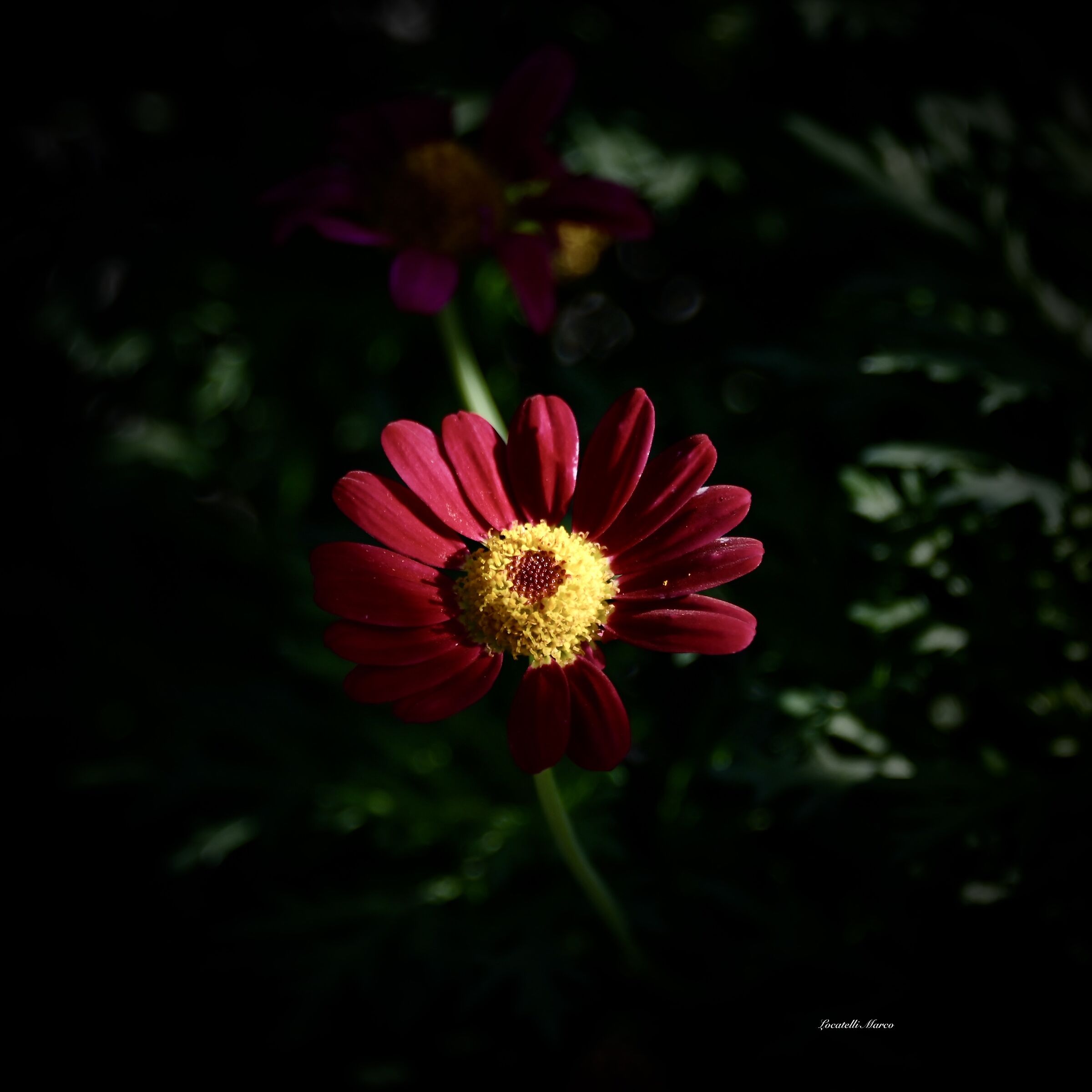 Color