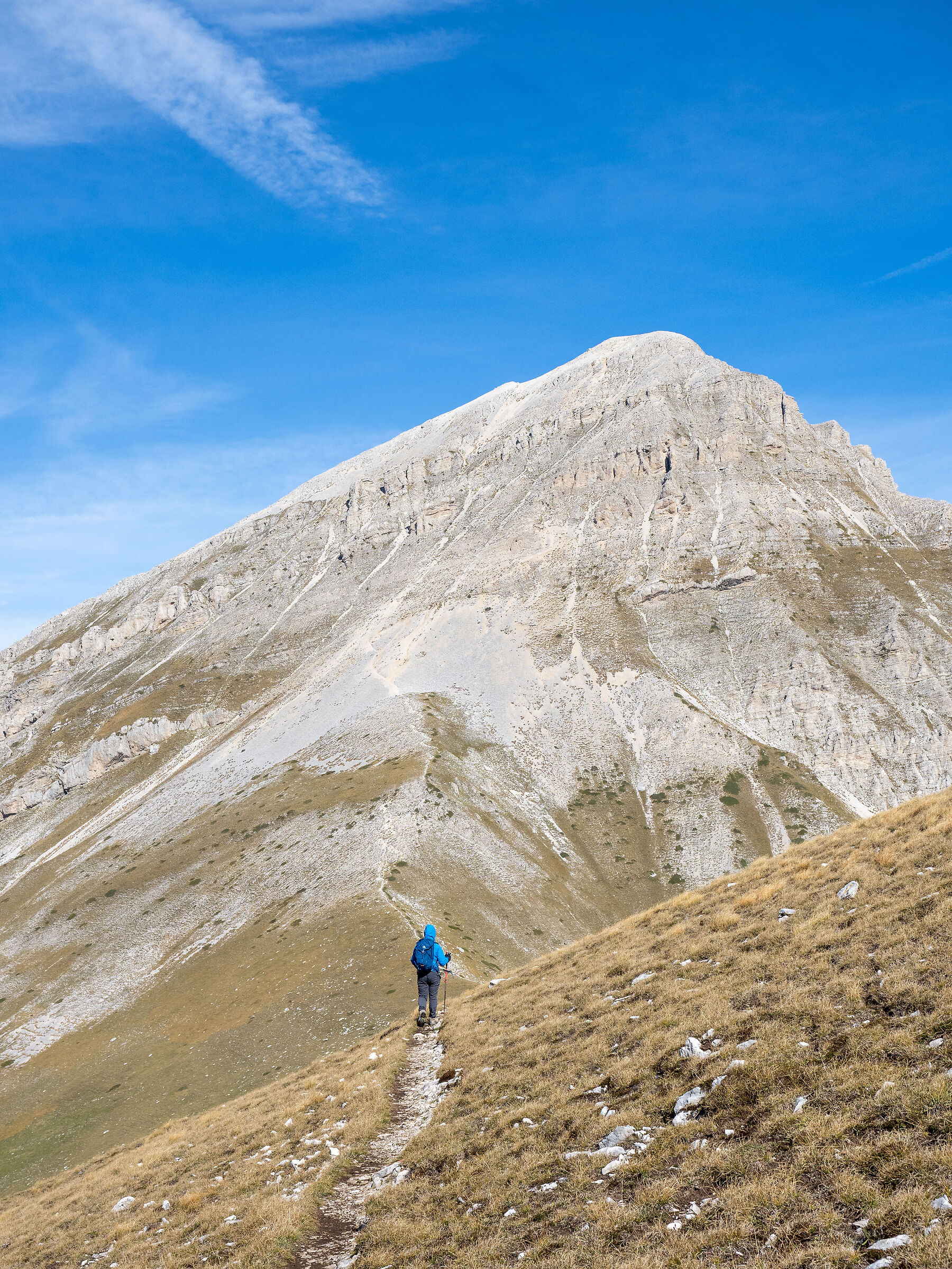 Avvicinandosi al gigante