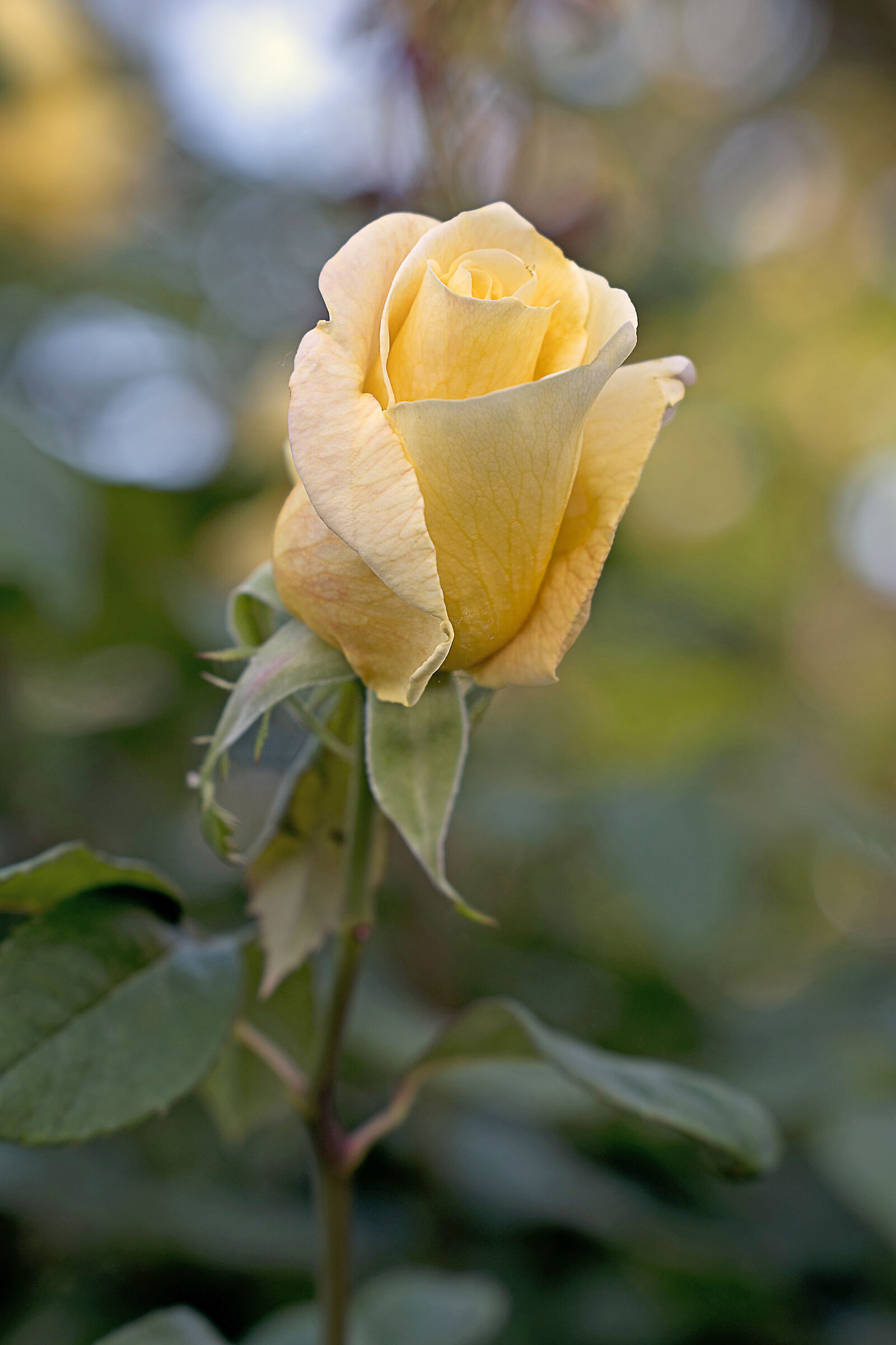 Untitled Photo