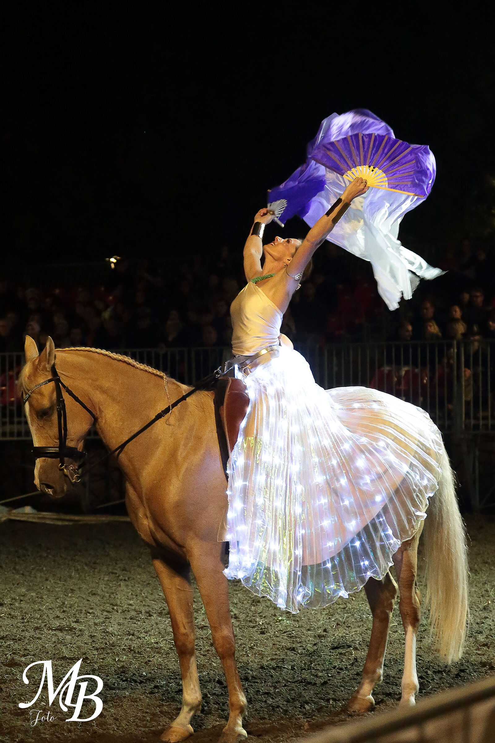 manifestazione equestre