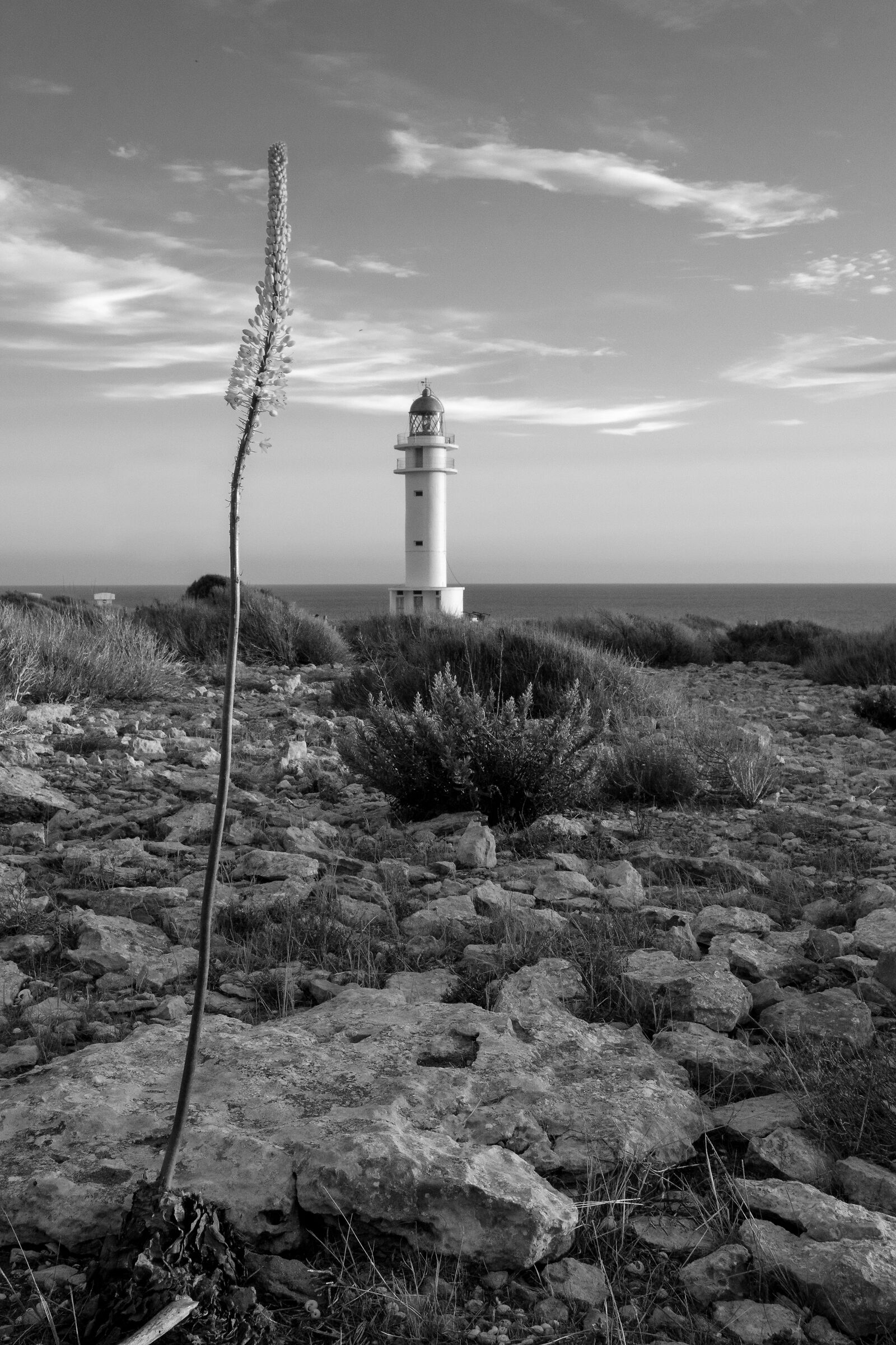 Cap de Barbaria - Formentera -BN
