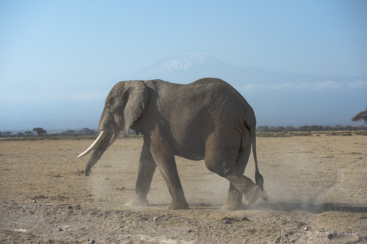 at the foot of Kilimanjaro