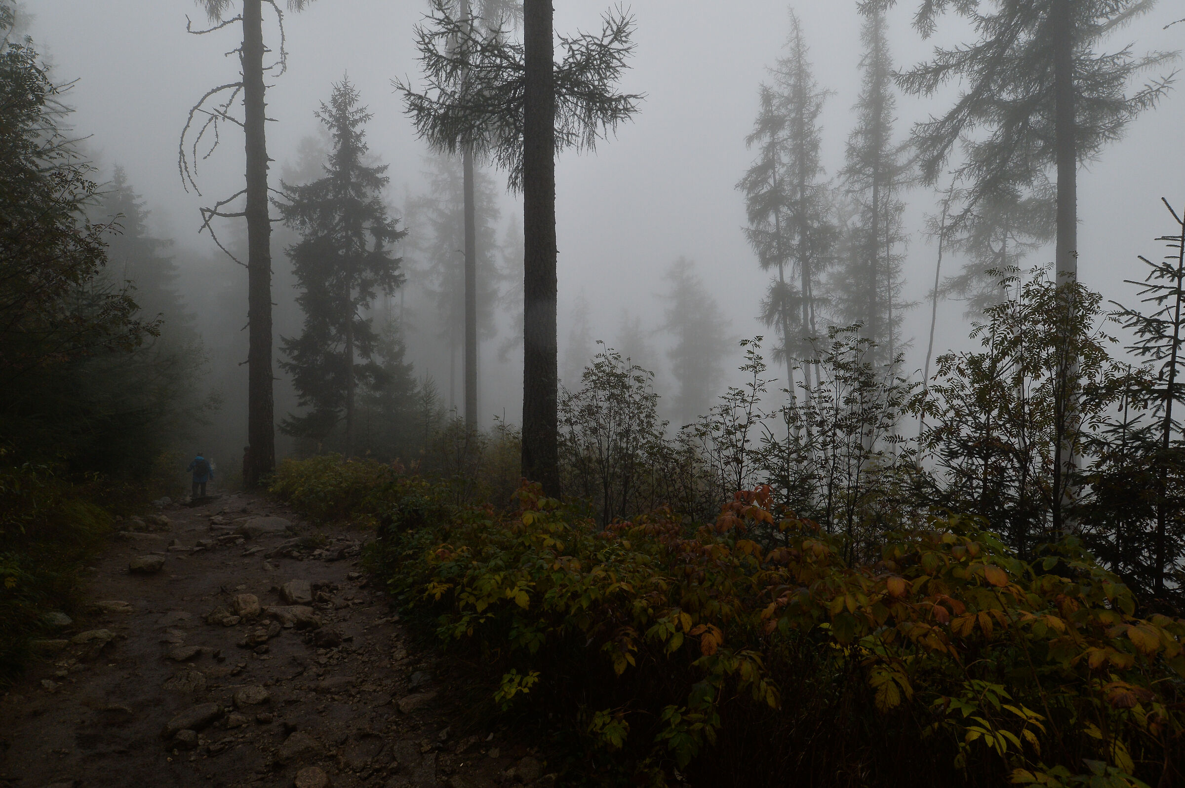 Alti Tatra. Slovacchia