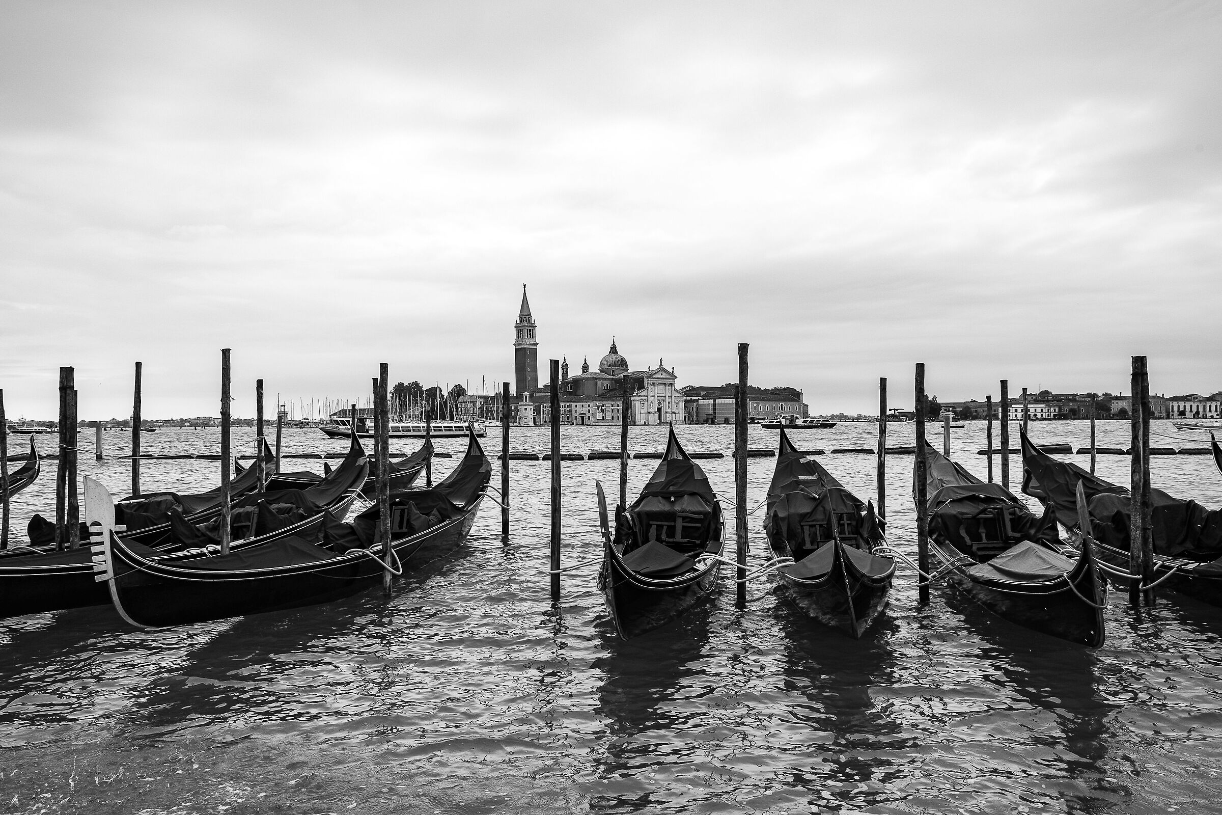 Venezia 6 2024