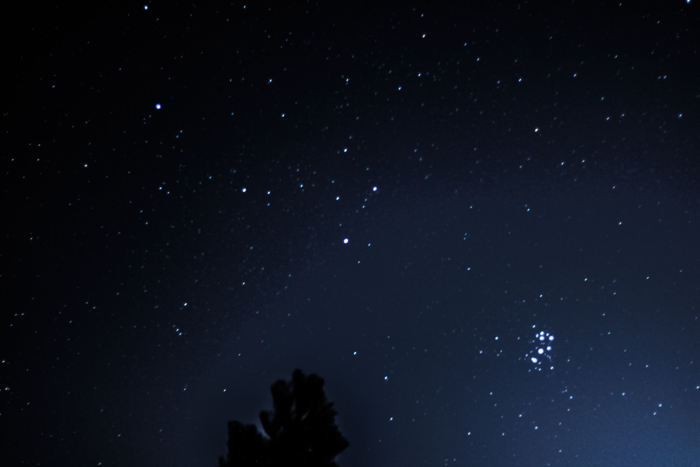 Pleiades