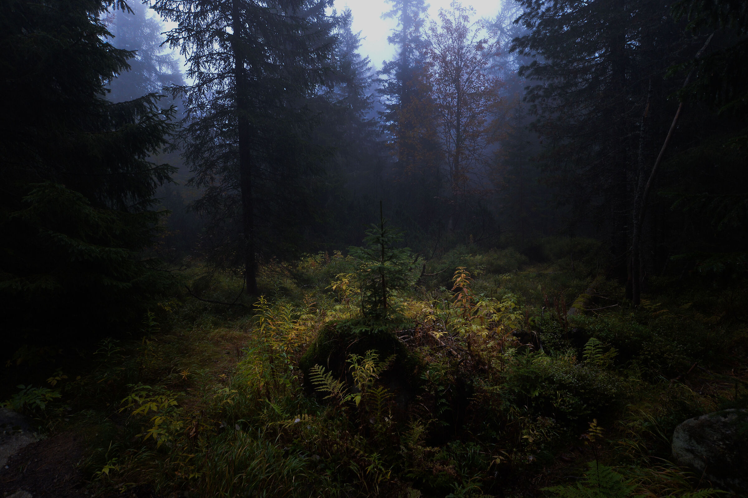 High Tatra. Slovakia (8)