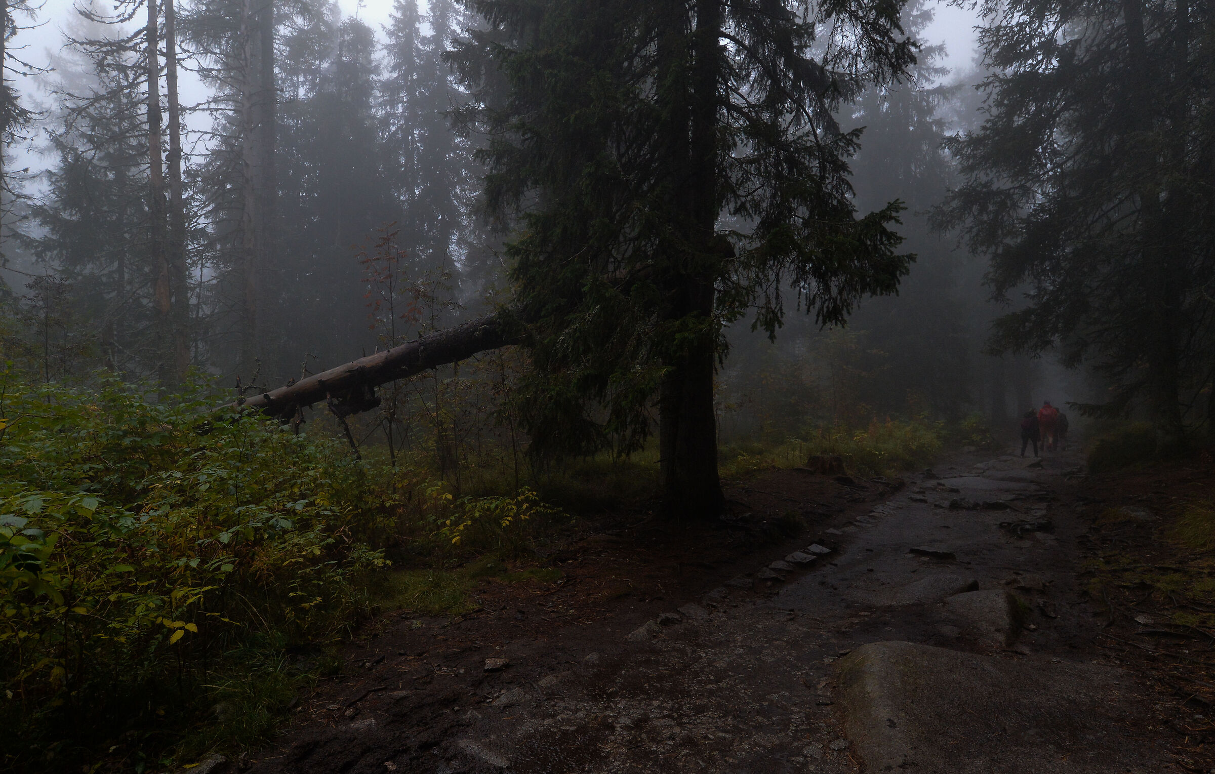 Alti Tatra. Slovacchia