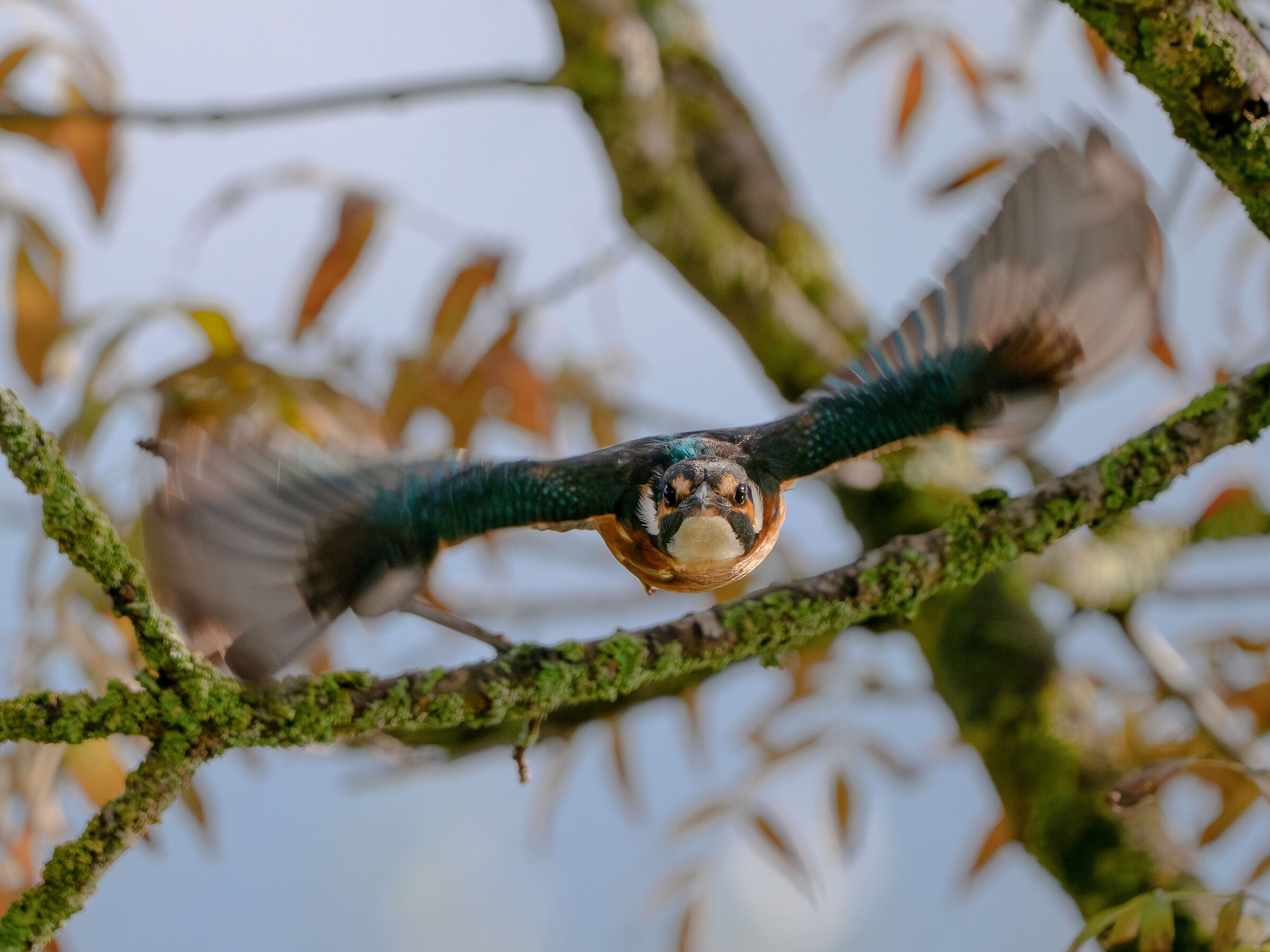 What do you have to look at?