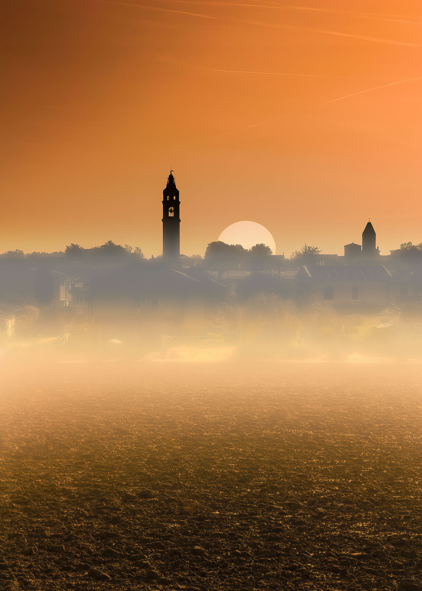 Luzzara - (king) at dawn.