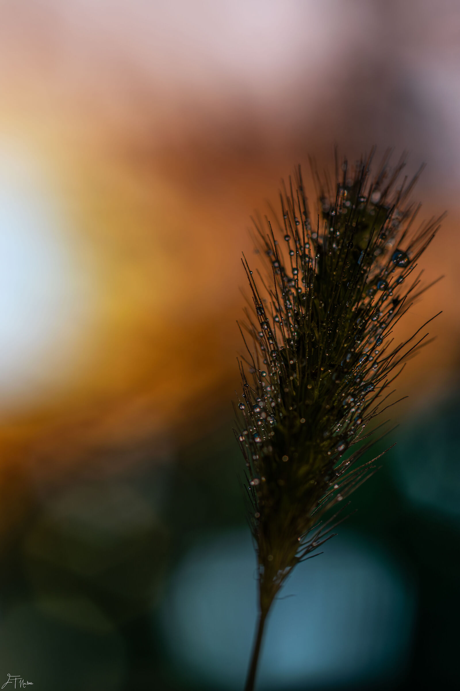 Needles