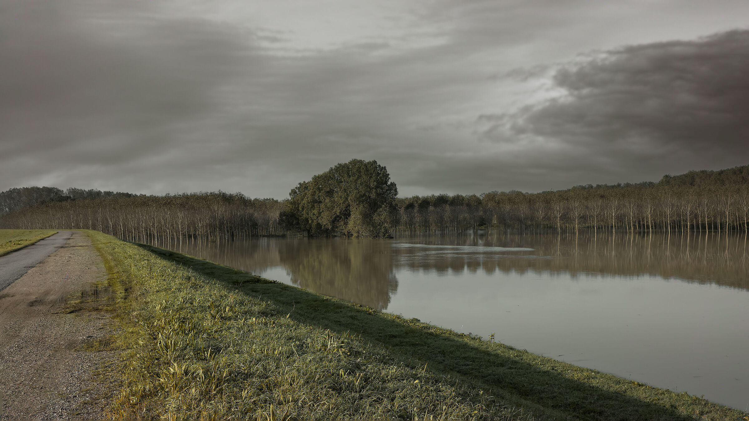 Po in the floodplain